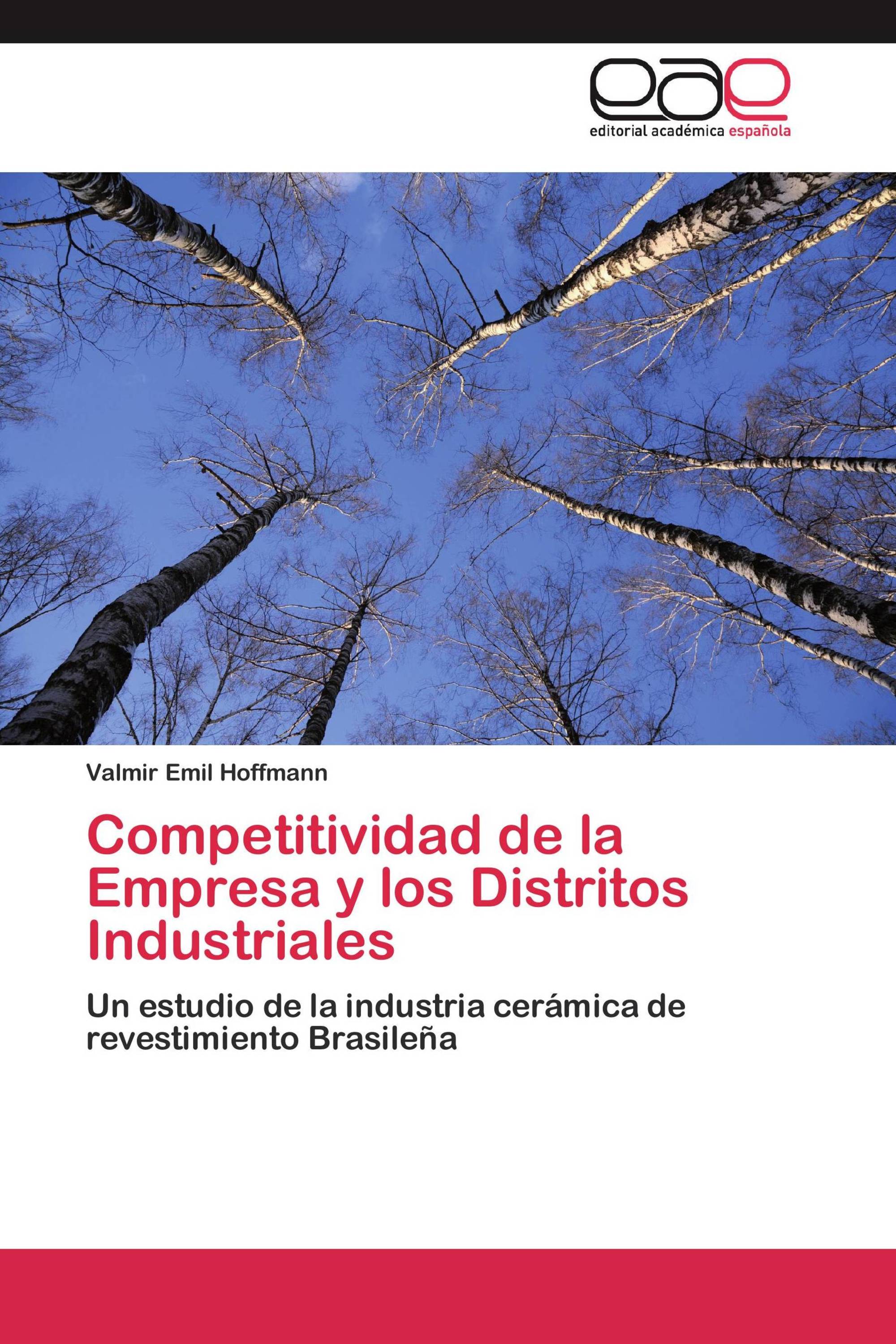 Competitividad de la Empresa y los Distritos Industriales