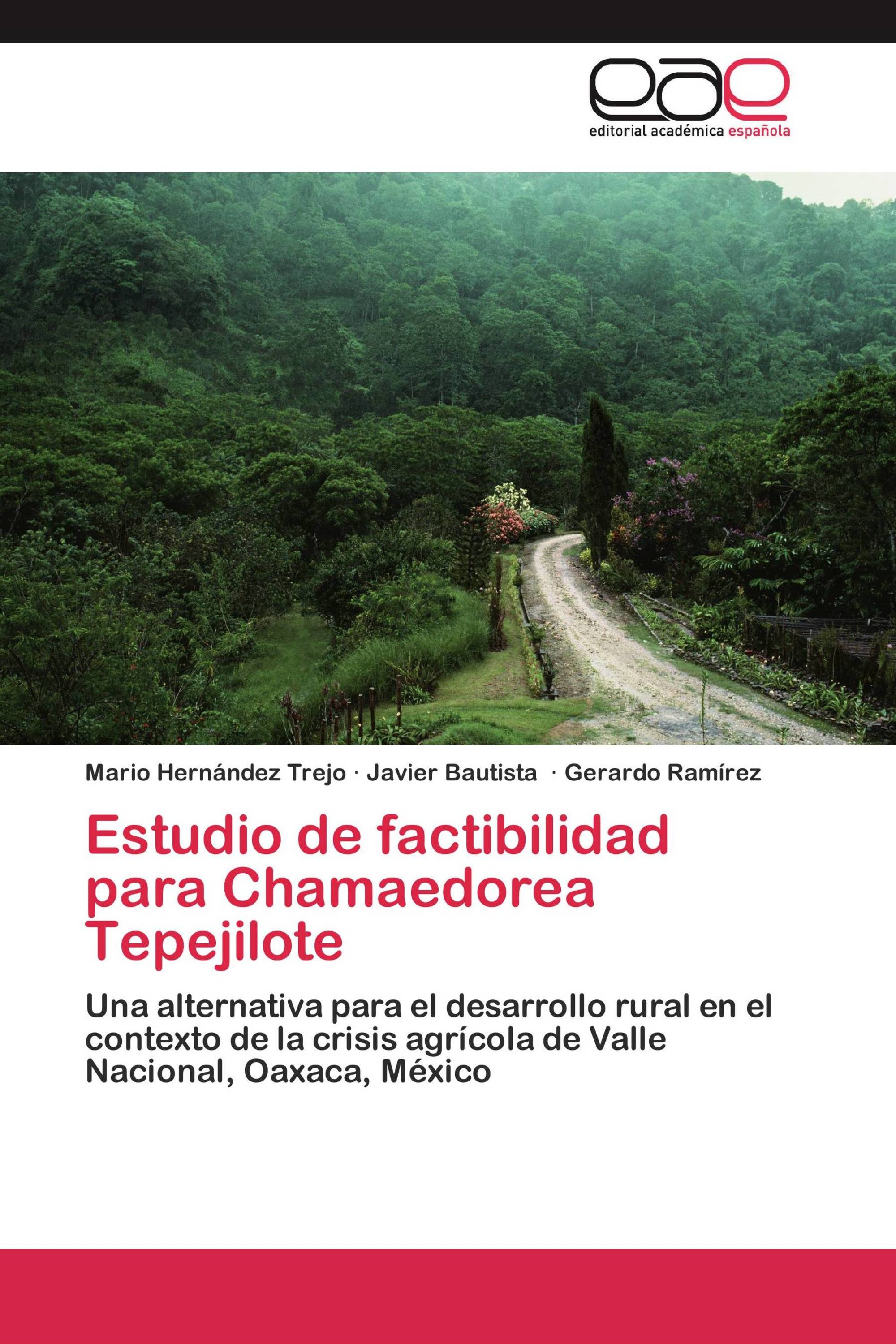 Estudio de factibilidad para Chamaedorea Tepejilote