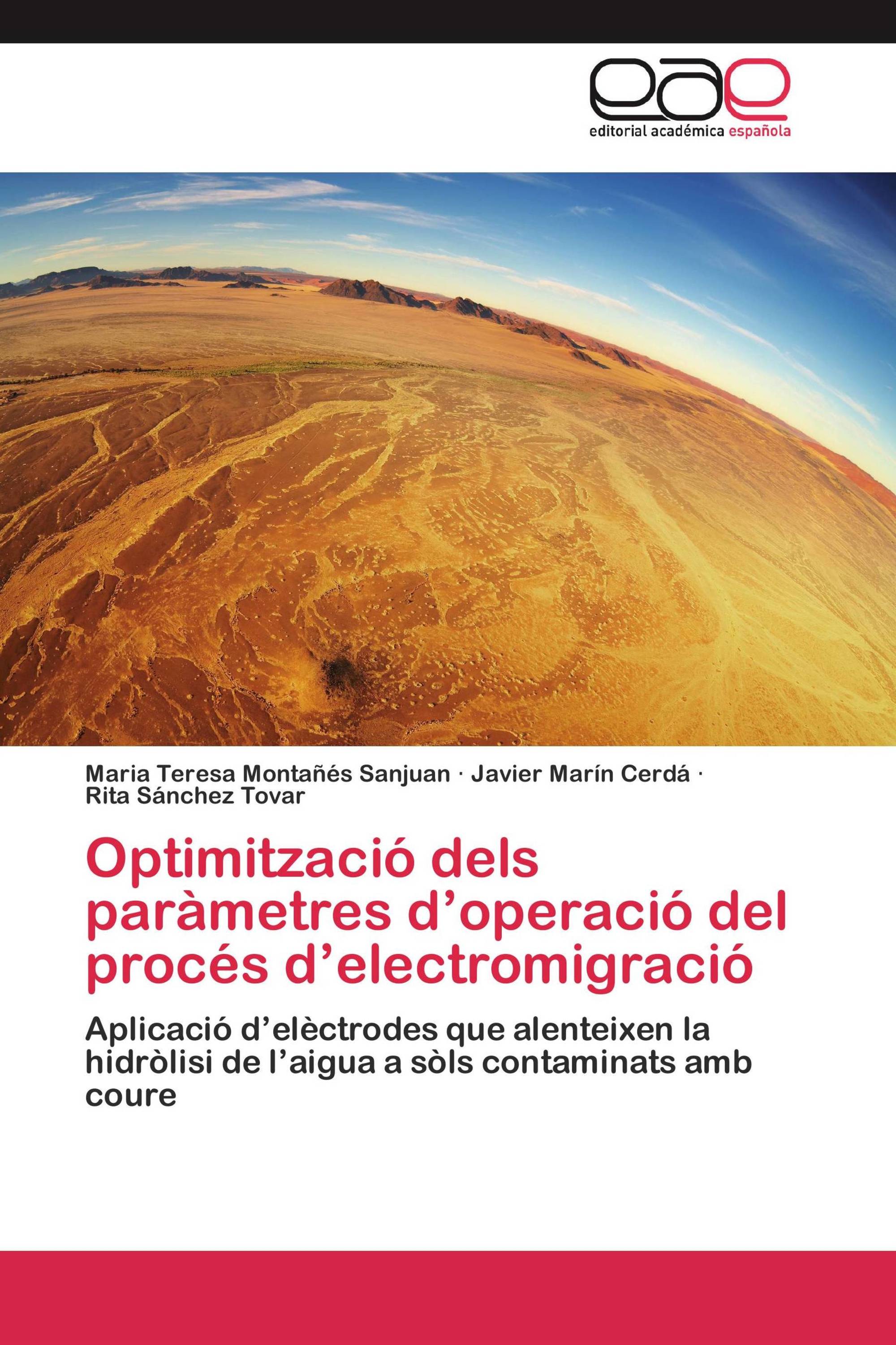 Optimització dels paràmetres d’operació del procés d’electromigració