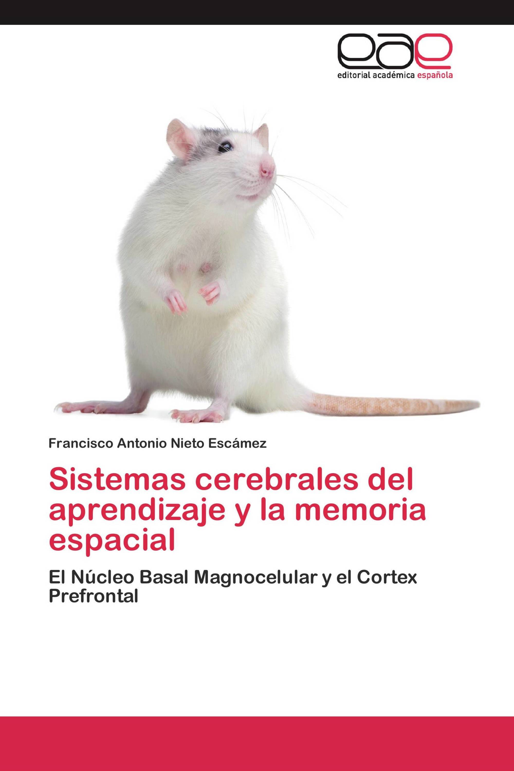 Sistemas cerebrales del aprendizaje y la memoria espacial