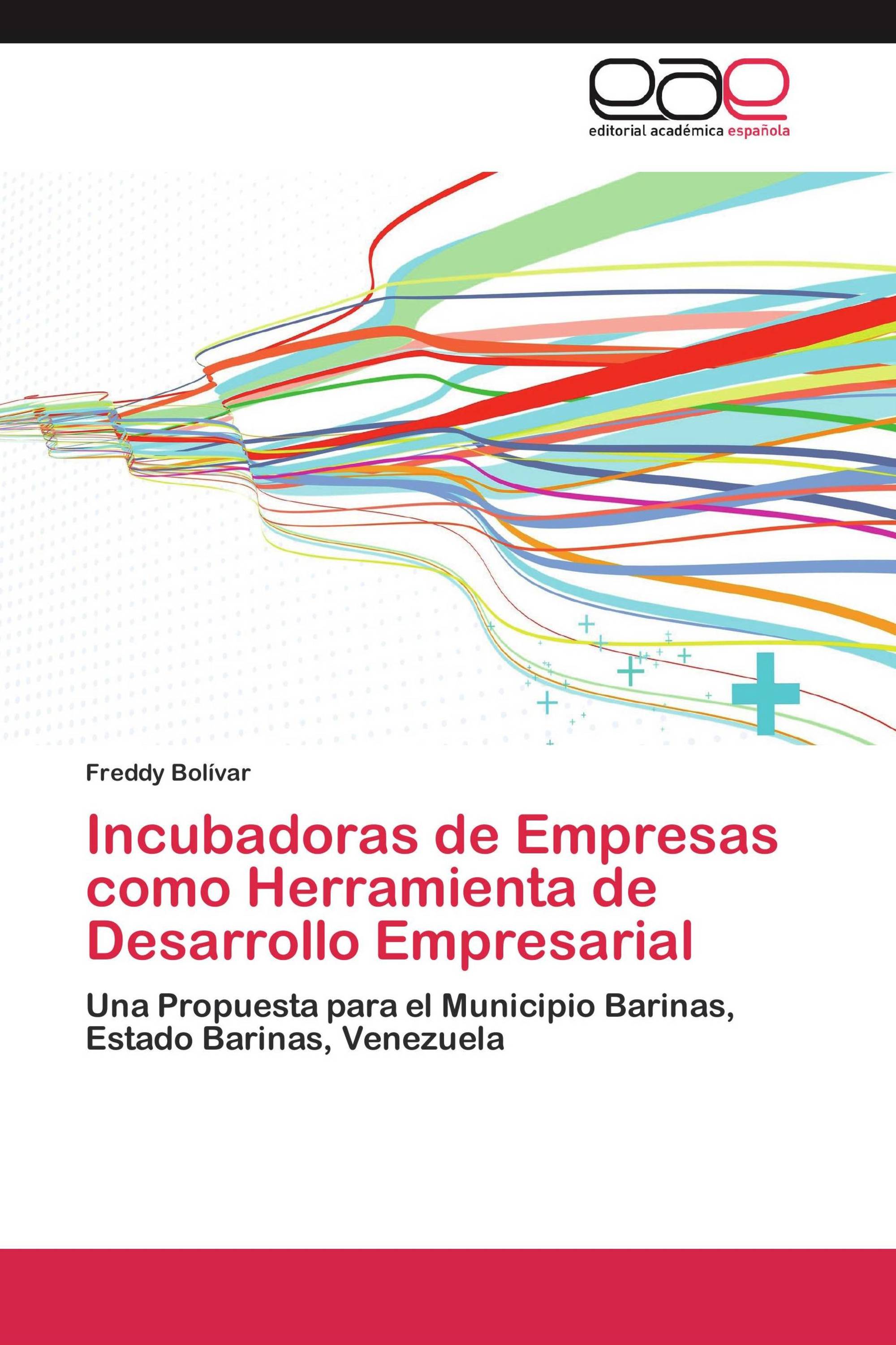 Incubadoras de Empresas como Herramienta de Desarrollo Empresarial