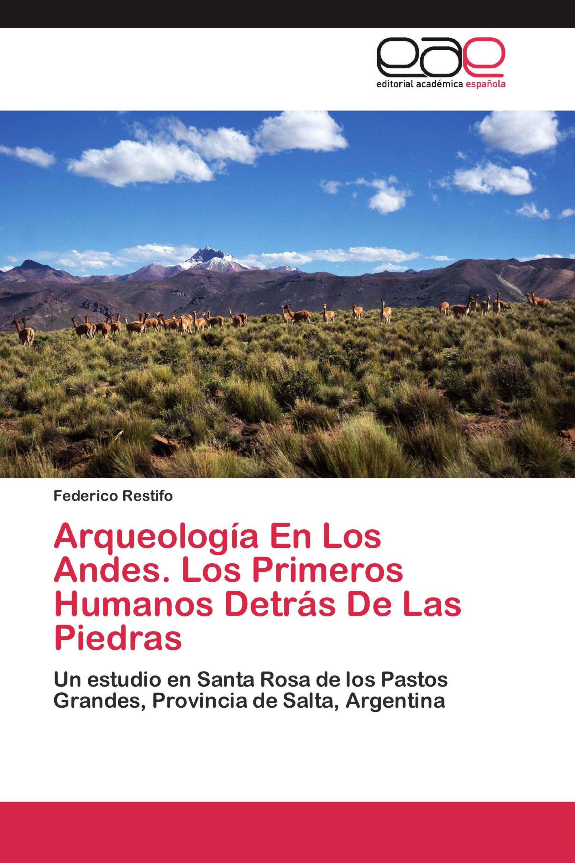 Arqueología En Los Andes. Los Primeros Humanos Detrás De Las Piedras