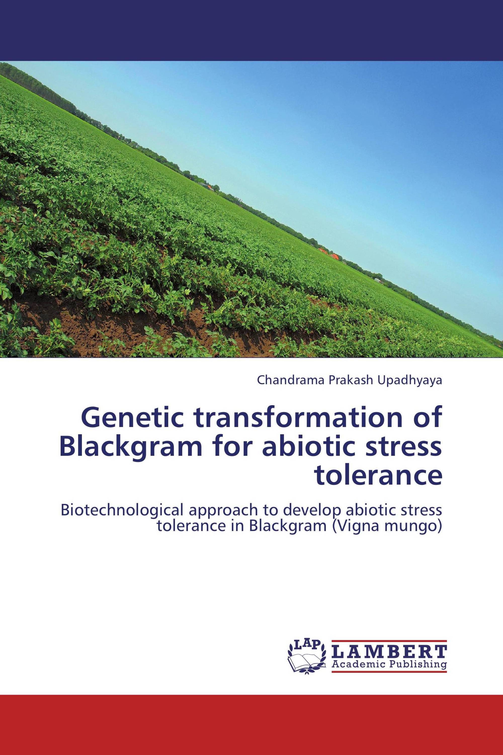 Genetic transformation of Blackgram for abiotic stress tolerance