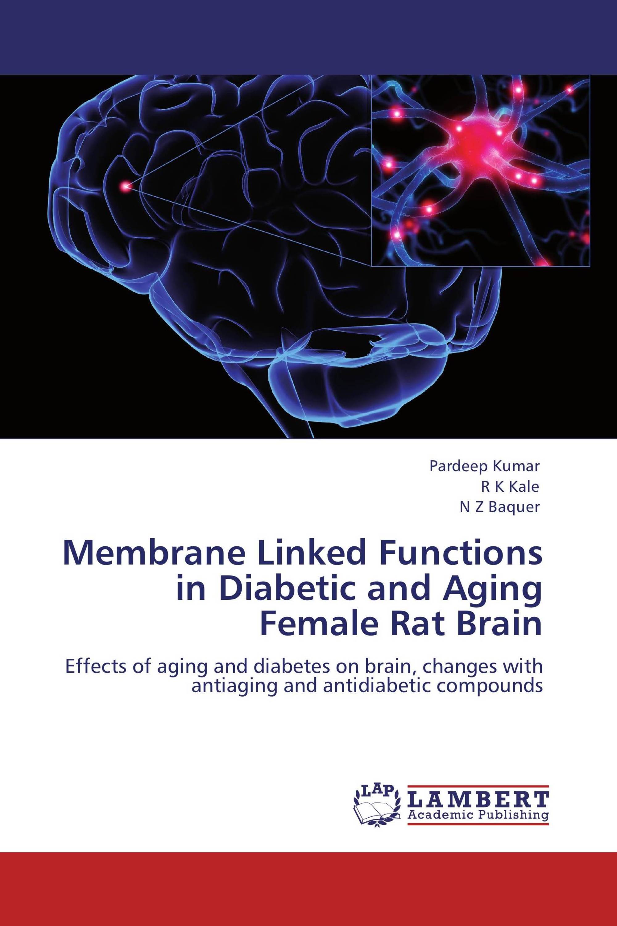 Membrane Linked Functions in Diabetic and Aging Female Rat Brain