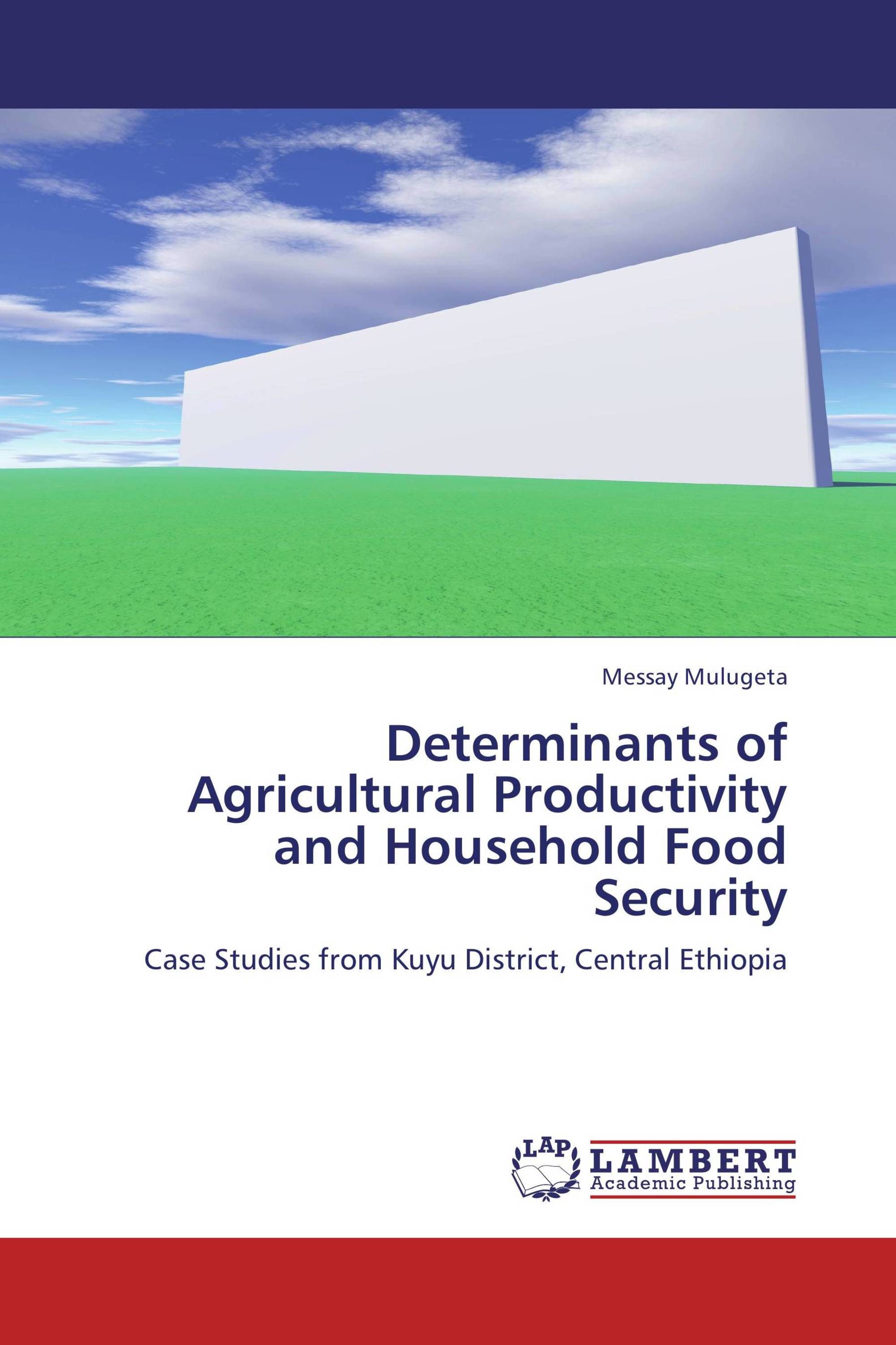 Determinants of Agricultural Productivity and Household Food Security