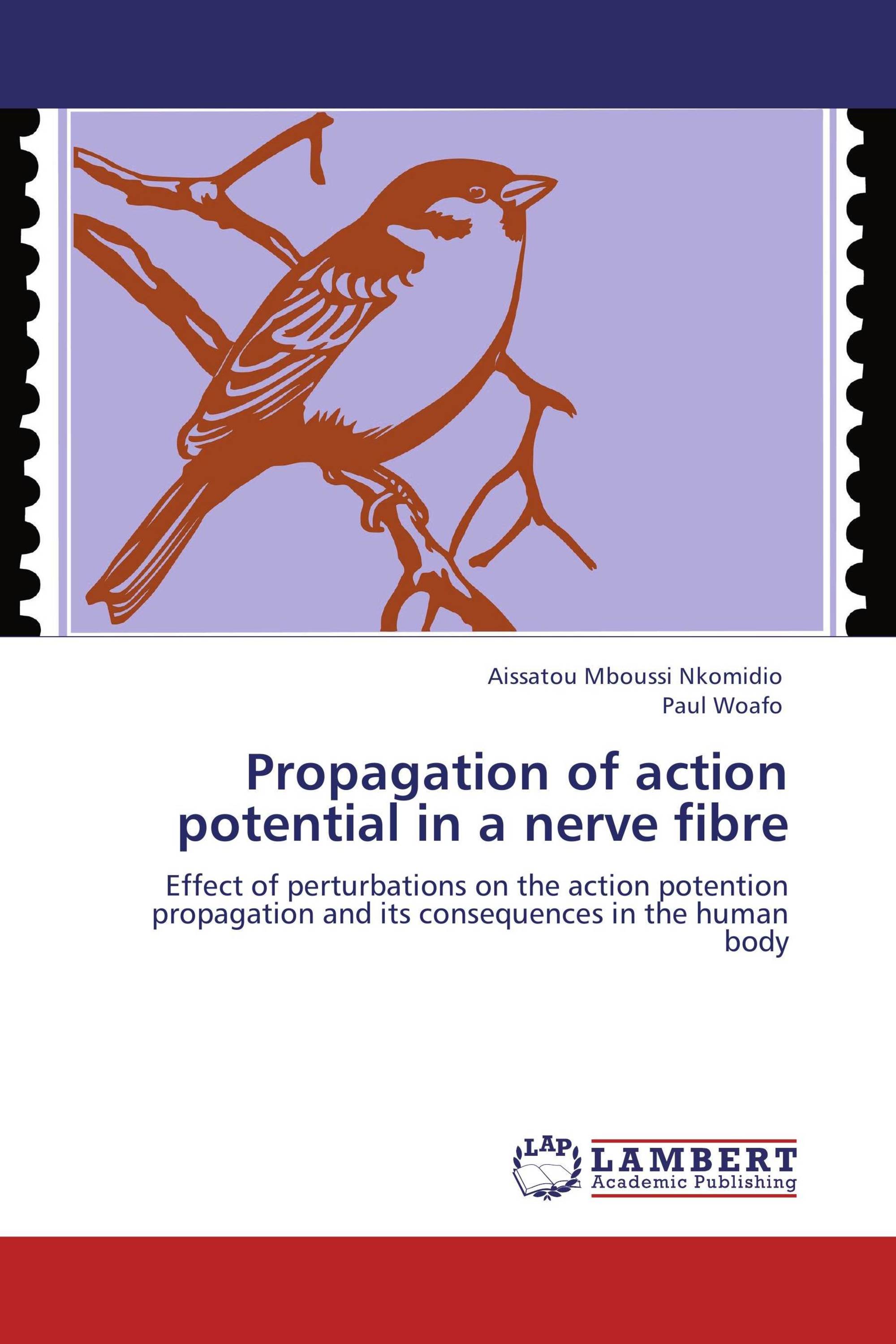 Propagation of action potential in a nerve fibre