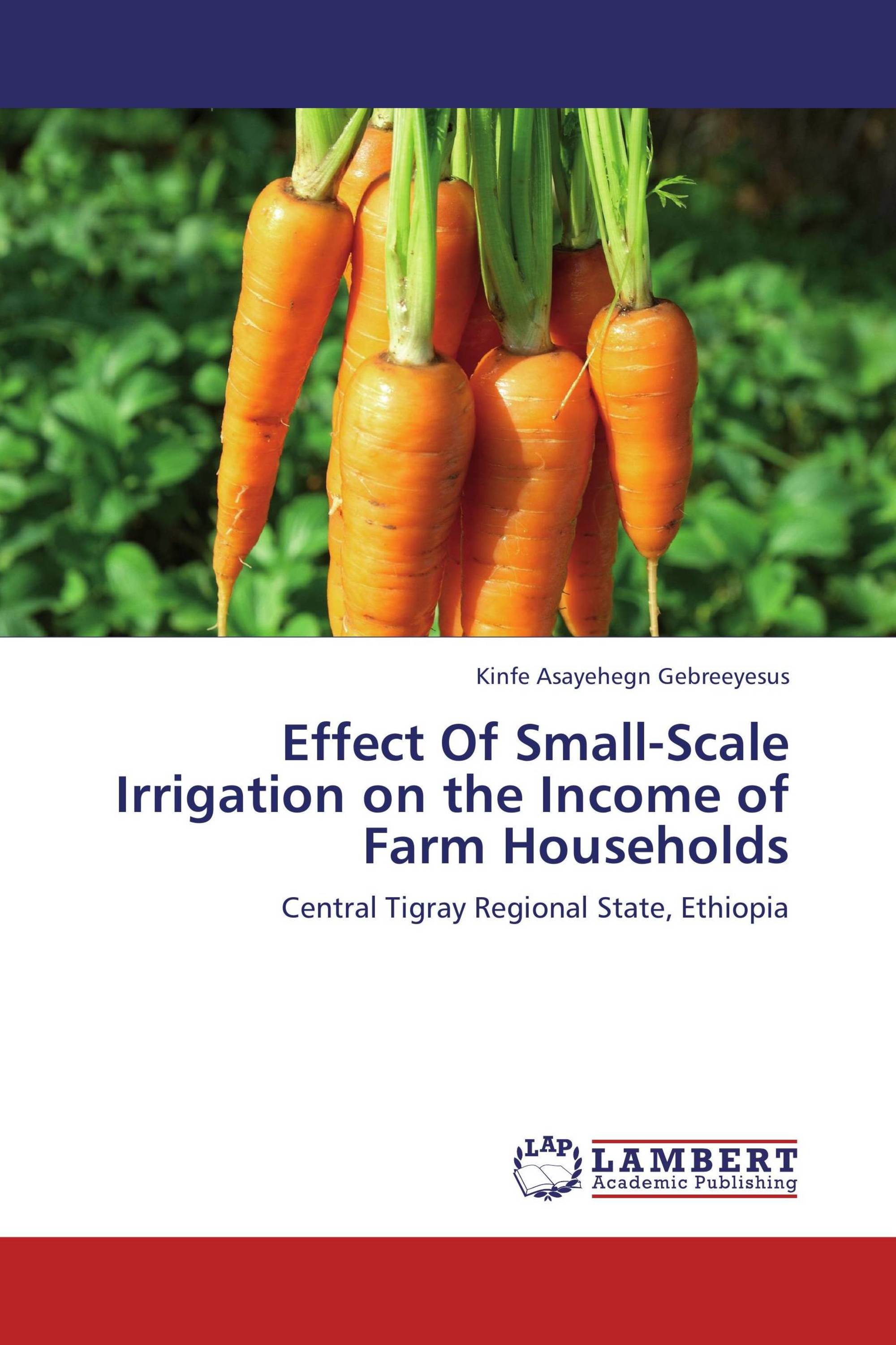 Effect Of Small-Scale Irrigation on the Income of Farm Households