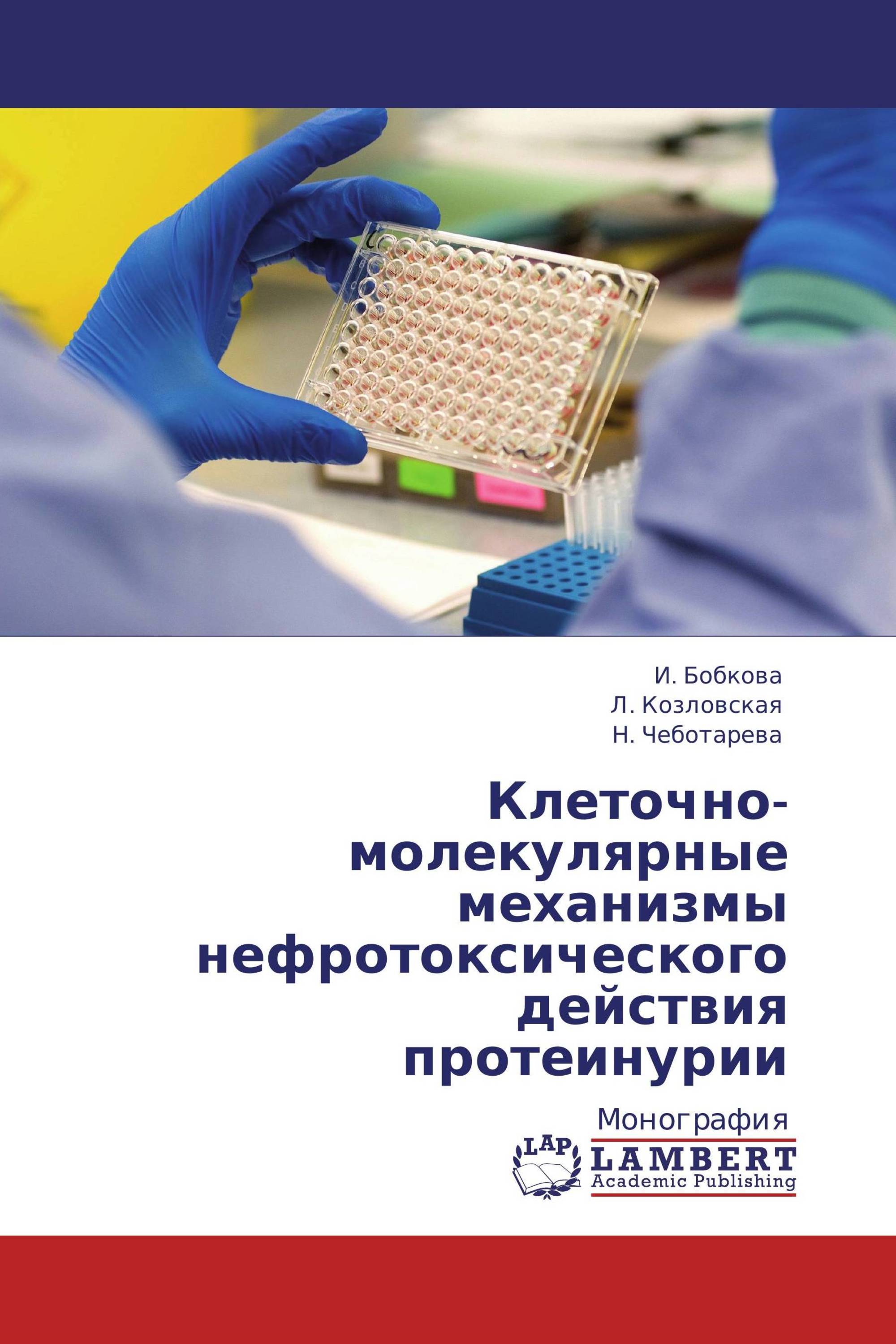 Клеточно-молекулярные механизмы нефротоксического действия  протеинурии