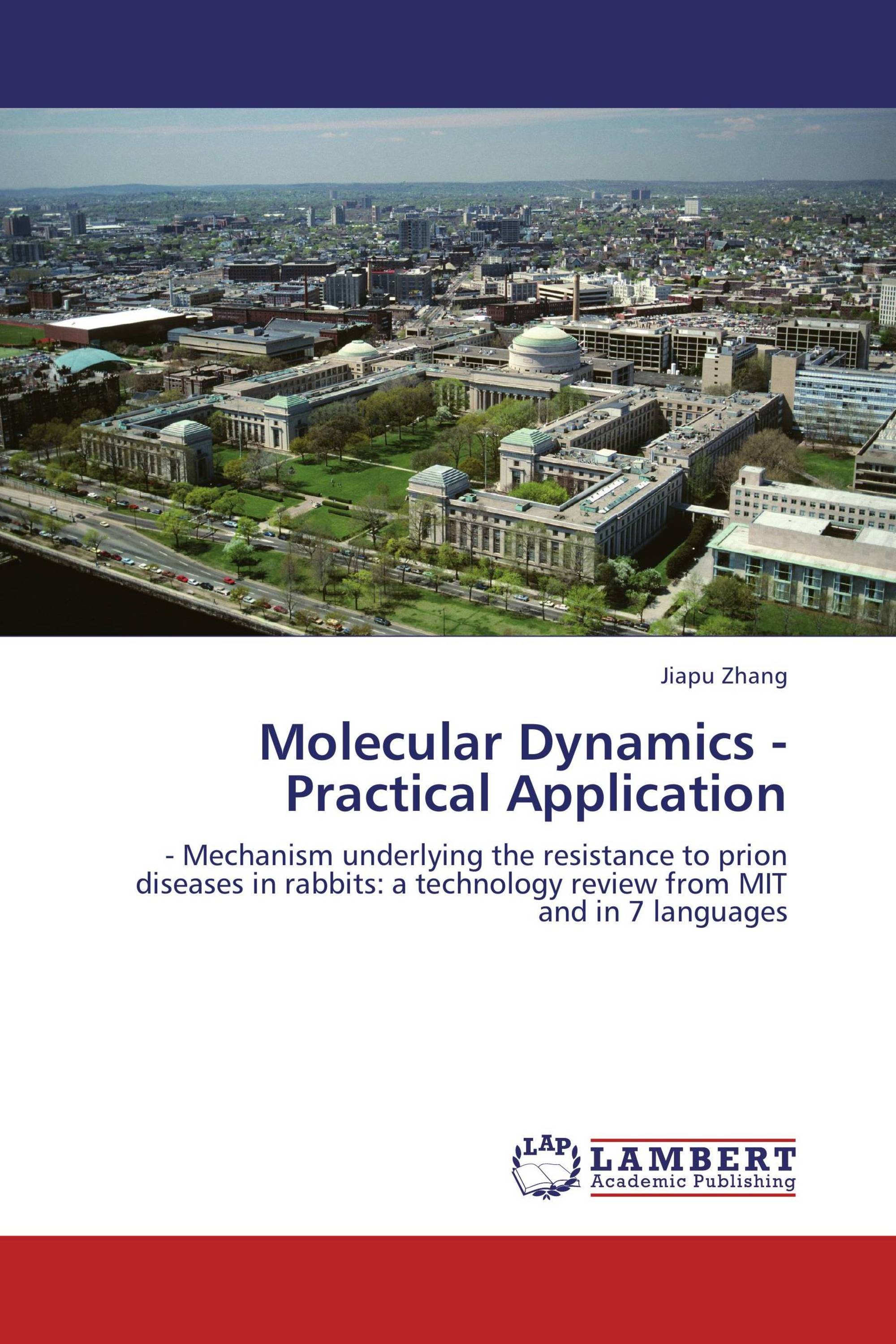 Molecular Dynamics - Practical Application