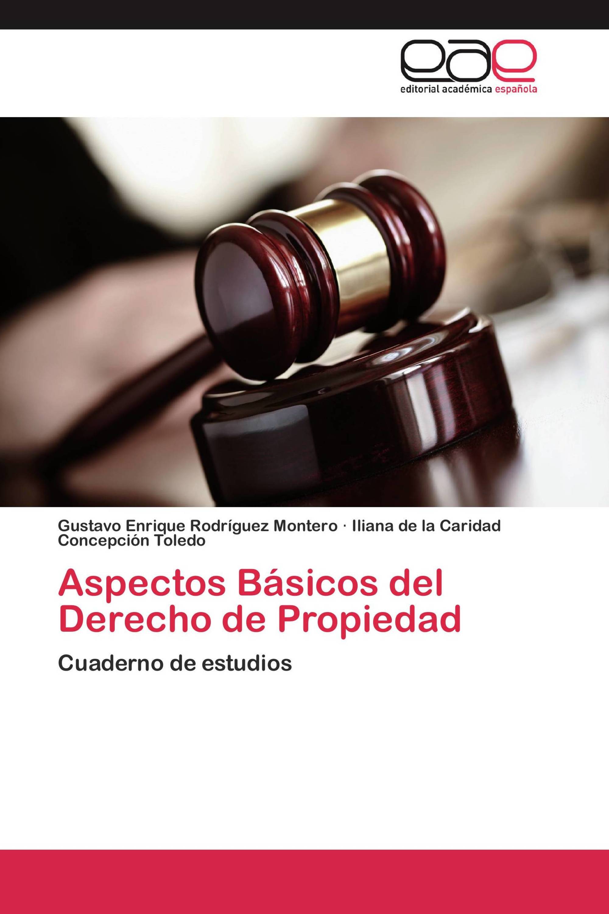 Aspectos Básicos del Derecho de Propiedad