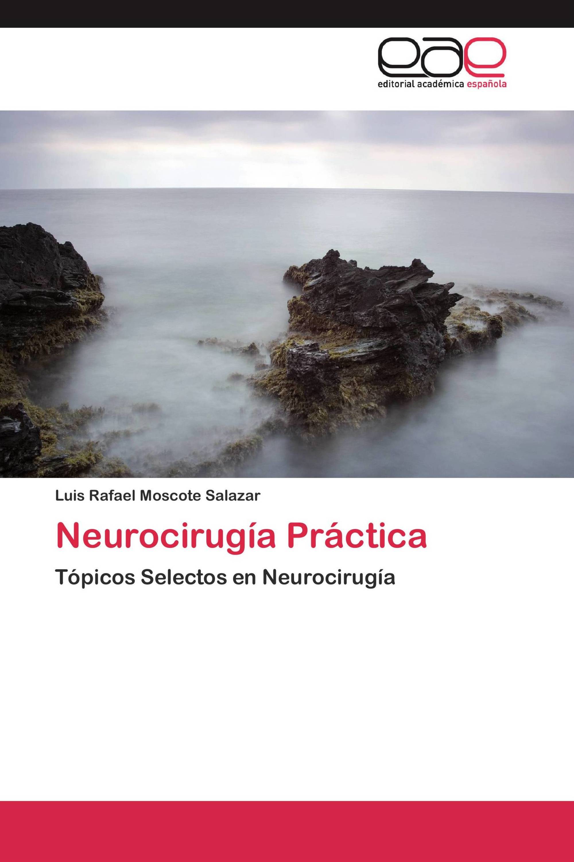 Neurocirugía Práctica