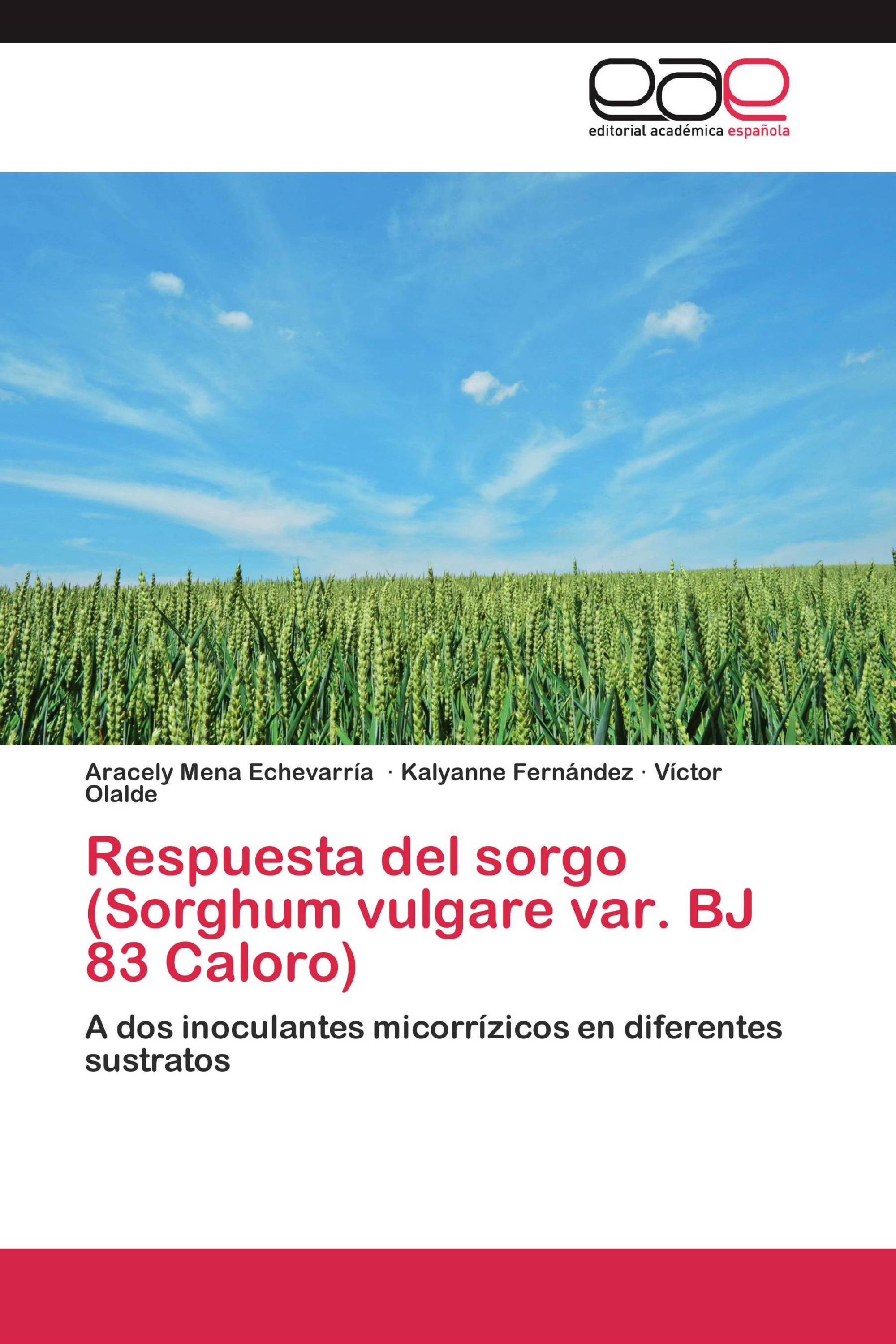 Respuesta del sorgo (Sorghum vulgare var. BJ 83 Caloro)