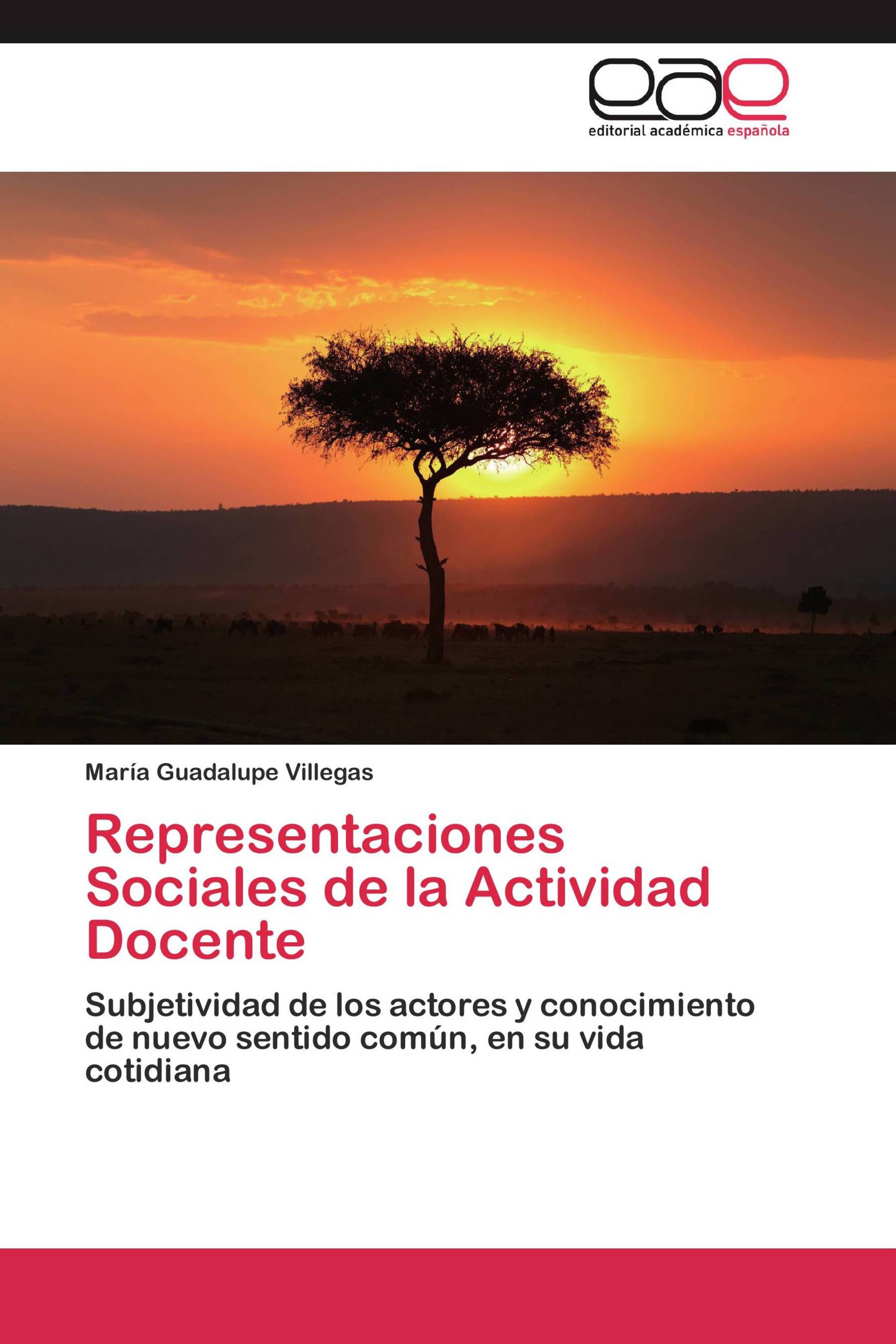 Representaciones Sociales de la Actividad Docente