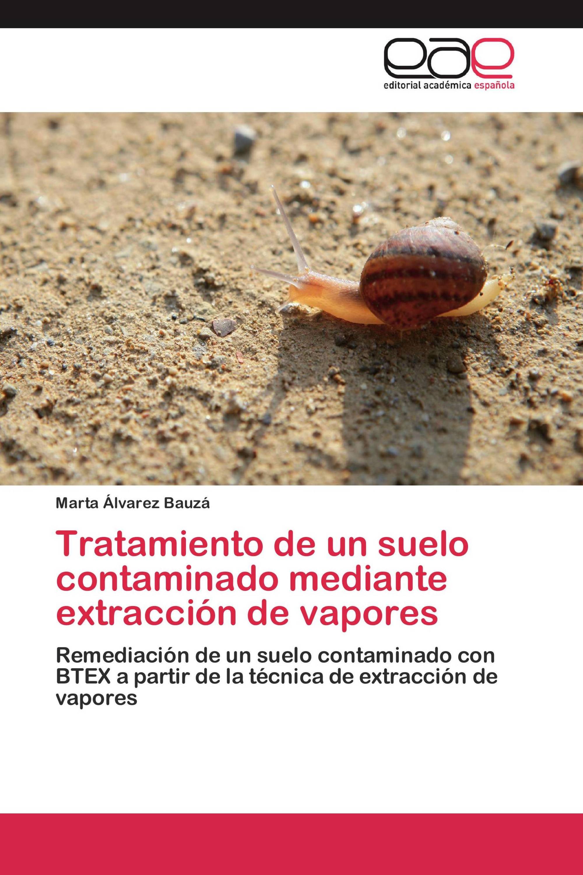 Tratamiento de un suelo contaminado mediante extracción de vapores