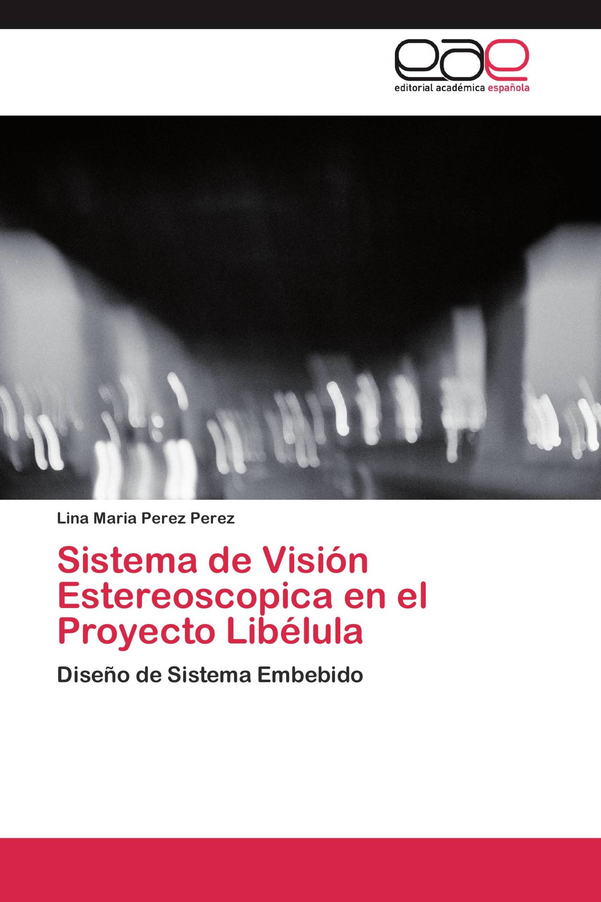 Sistema de Visión Estereoscopica en el Proyecto Libélula