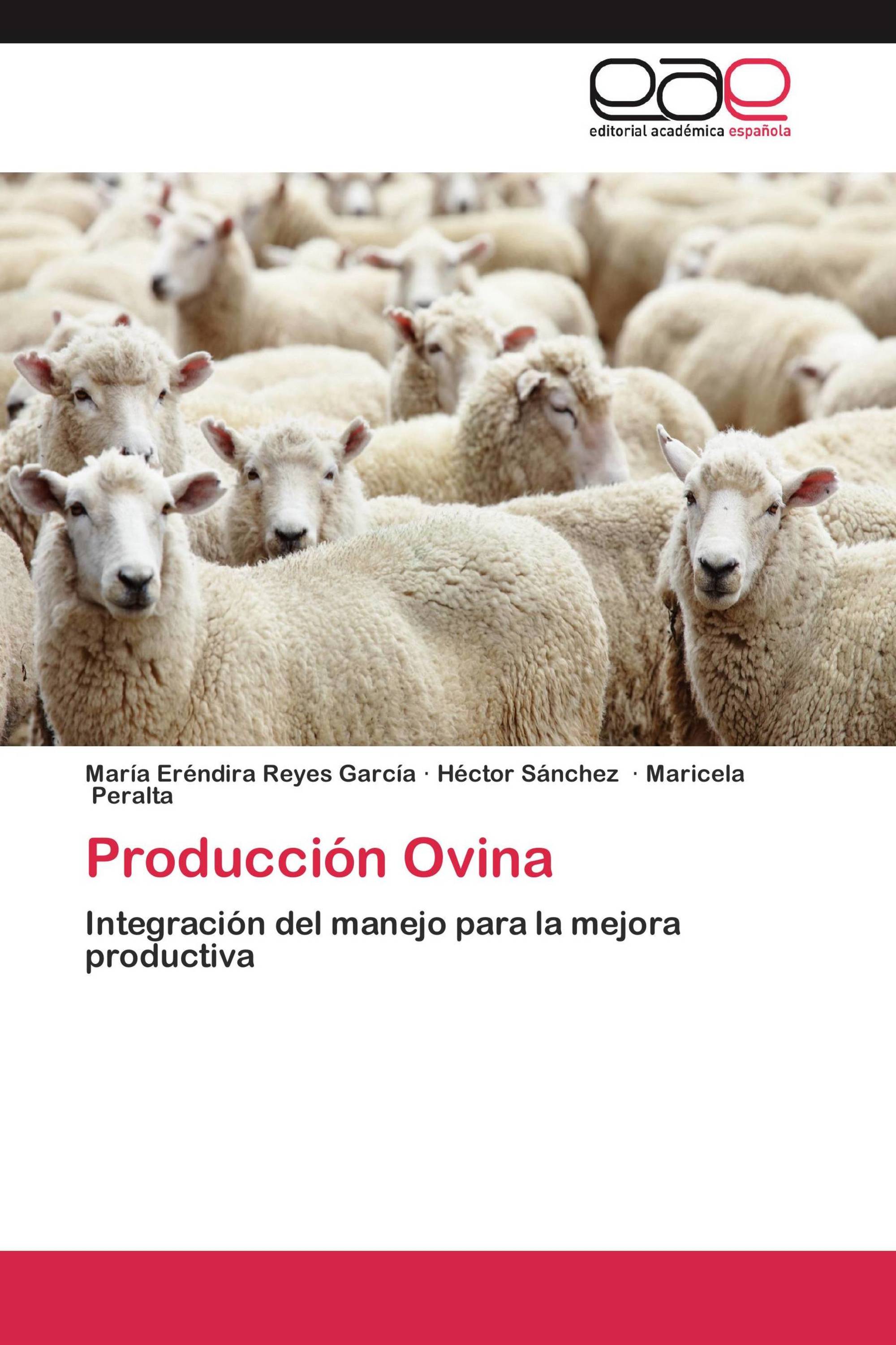 Producción Ovina