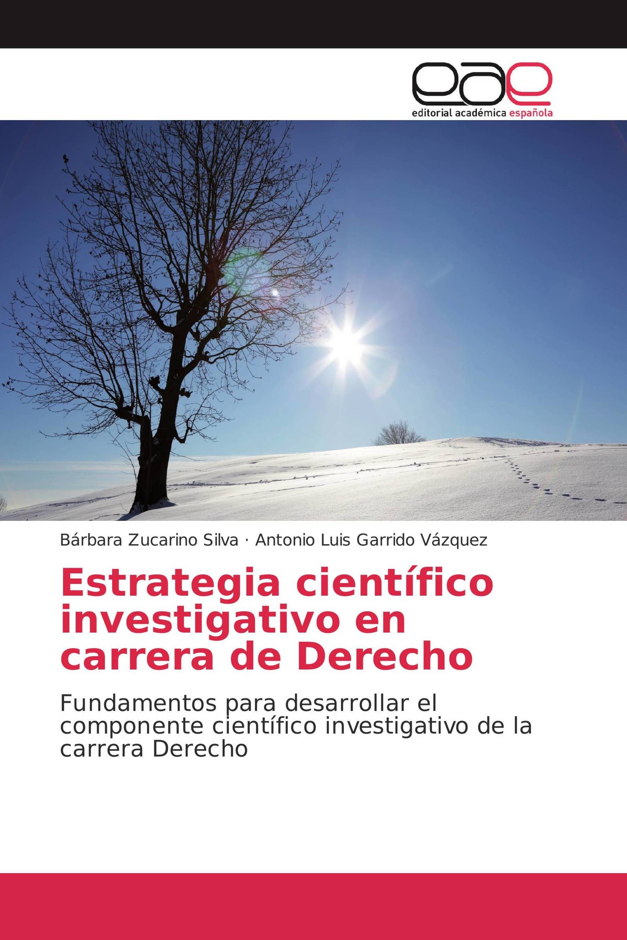 Estrategia científico investigativo en carrera de Derecho