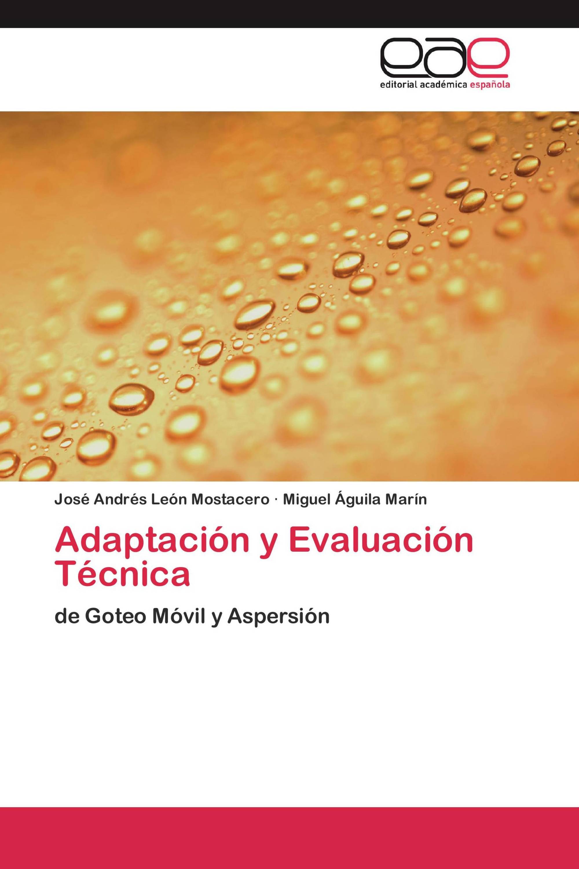 Adaptación y Evaluación Técnica