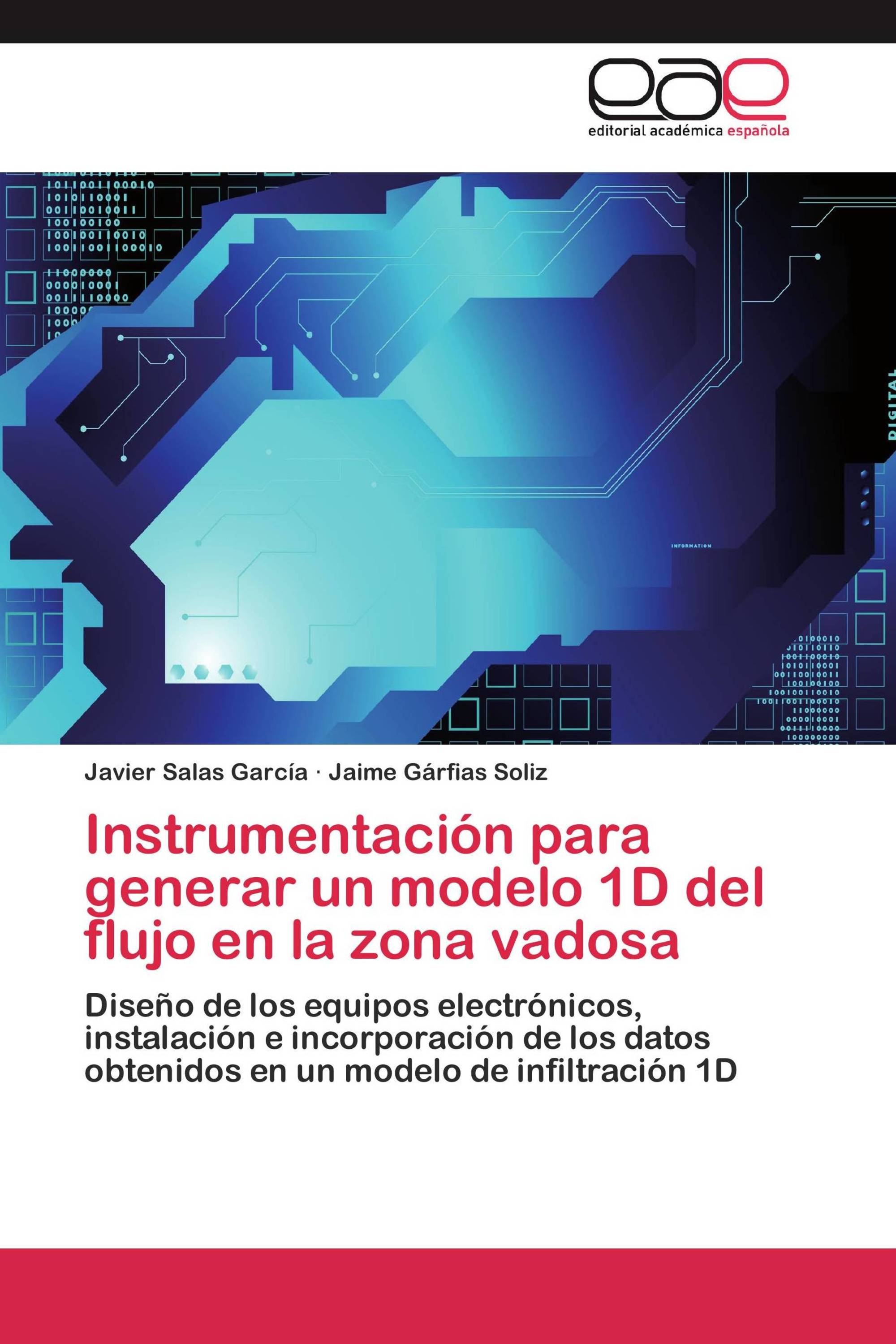 Instrumentación para generar un modelo 1D del flujo en la zona vadosa