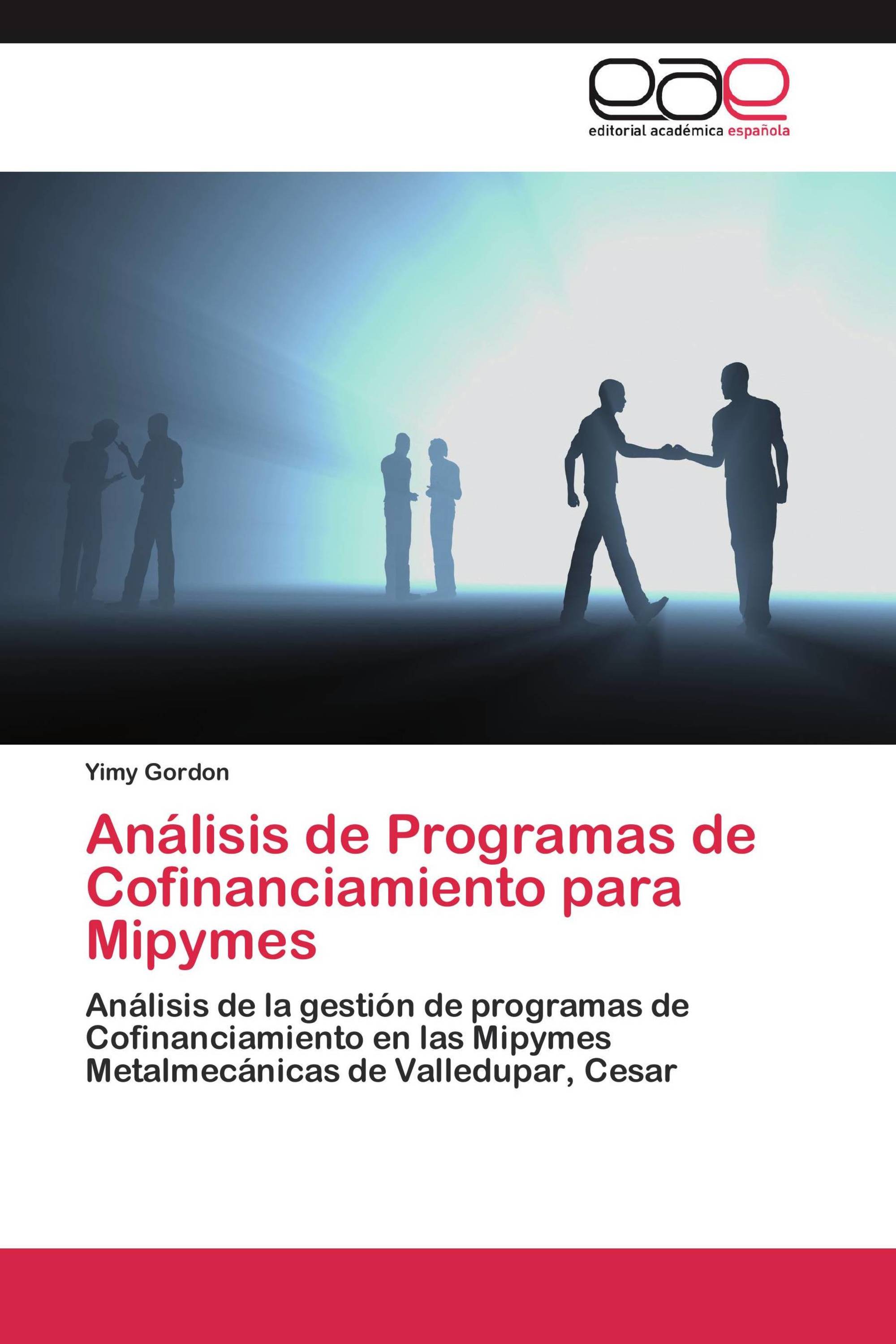 Análisis de Programas de Cofinanciamiento para Mipymes