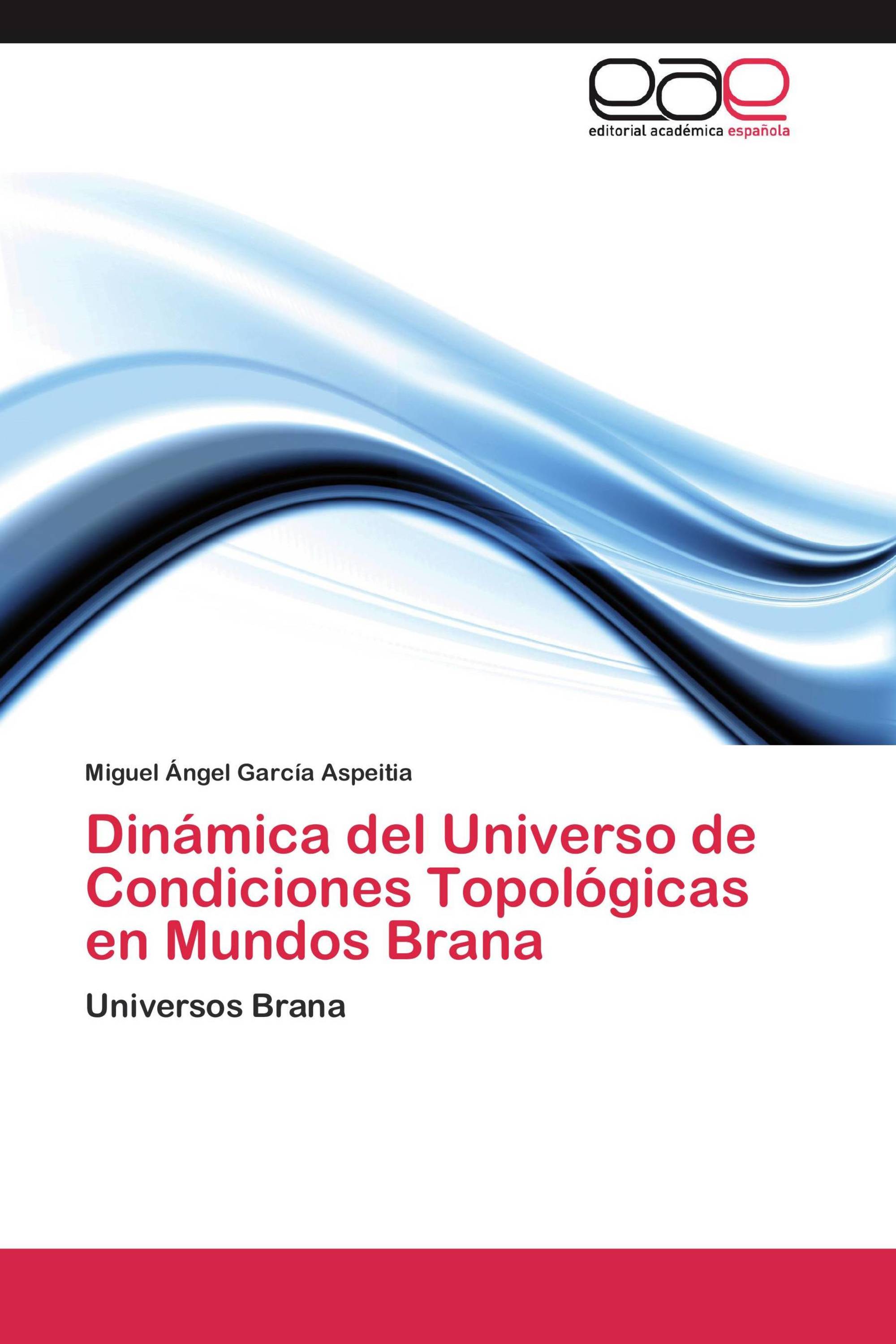 Dinámica del Universo de Condiciones Topológicas en Mundos Brana