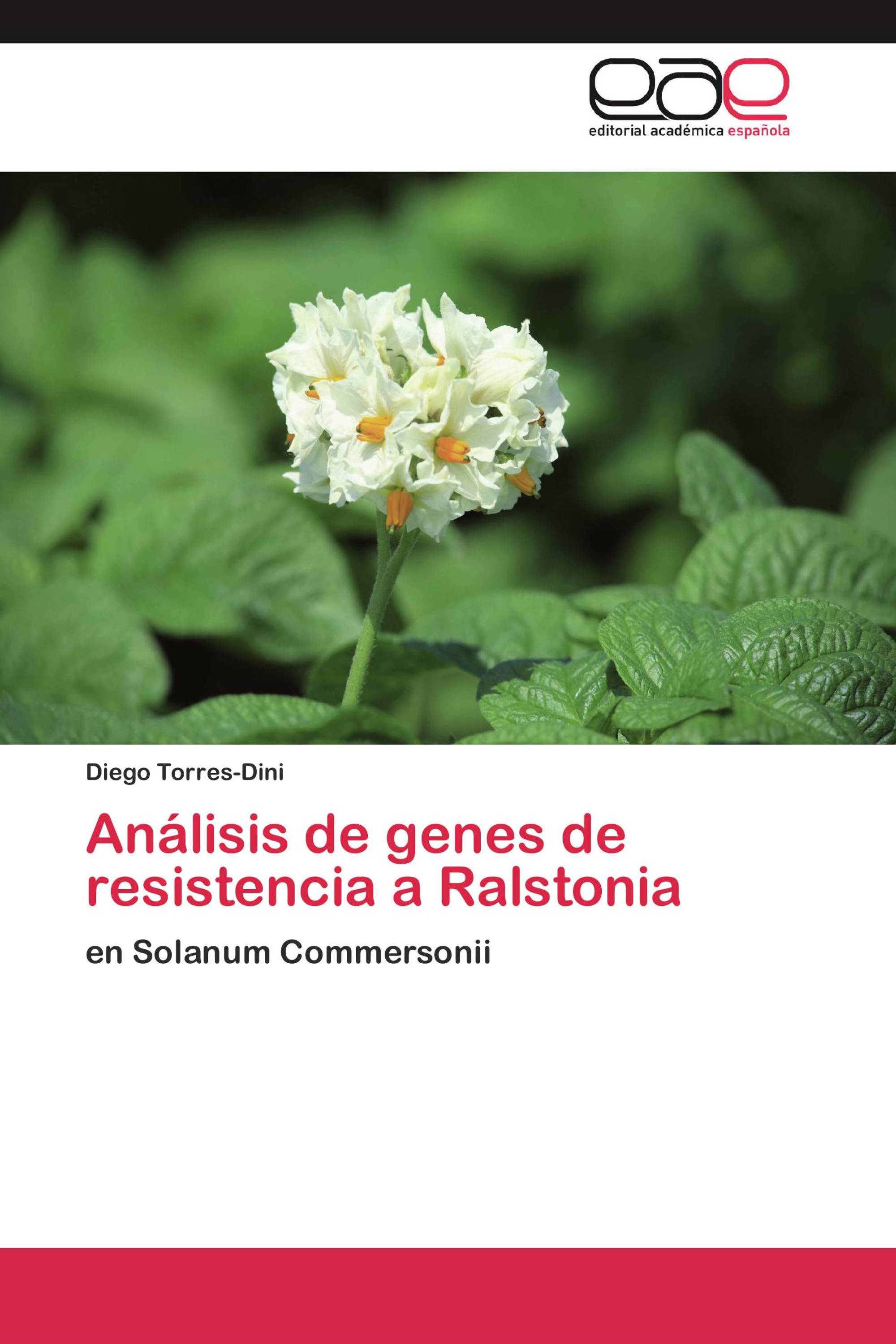 Análisis de genes de resistencia a Ralstonia