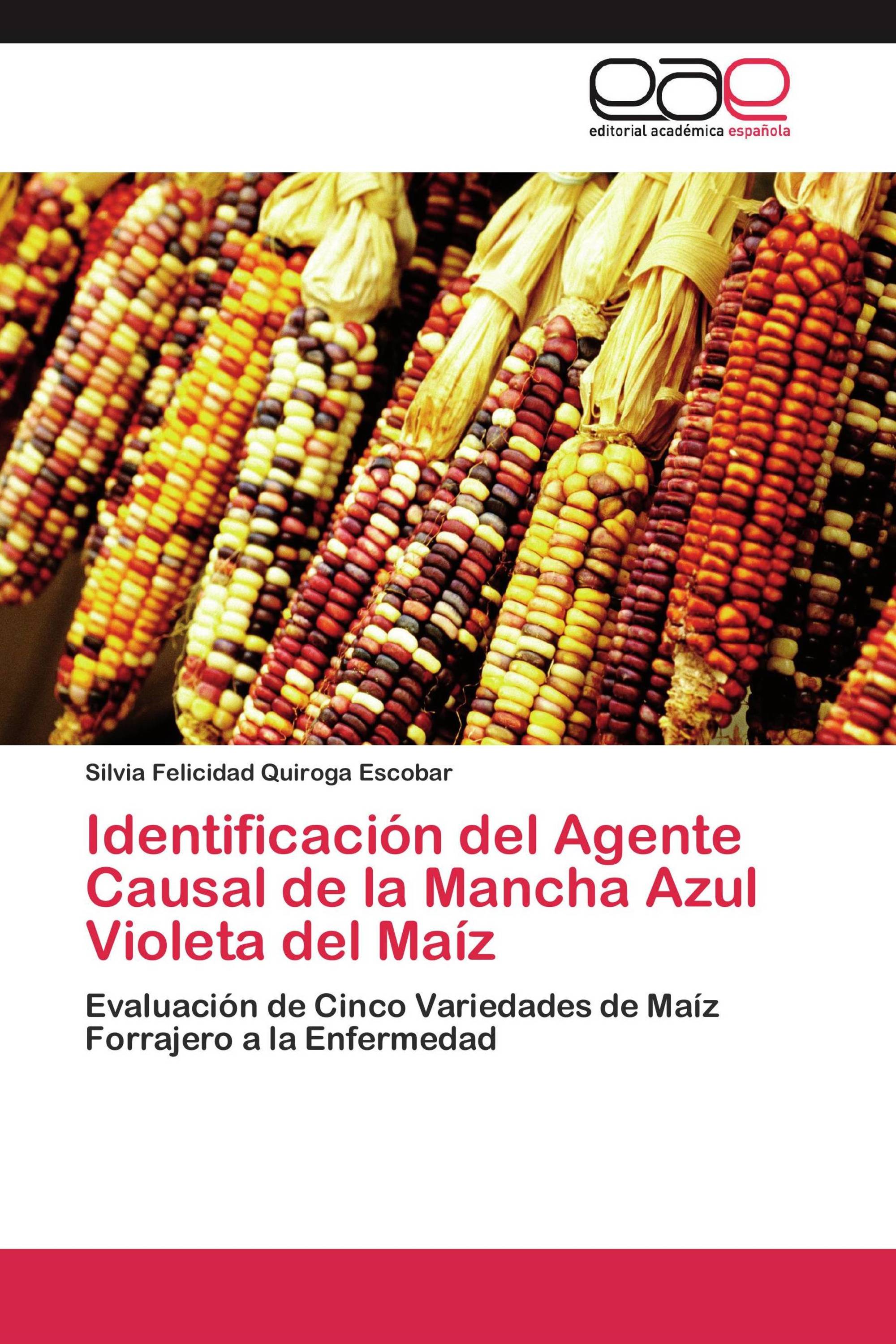 Identificación del Agente Causal de la Mancha Azul Violeta del Maíz