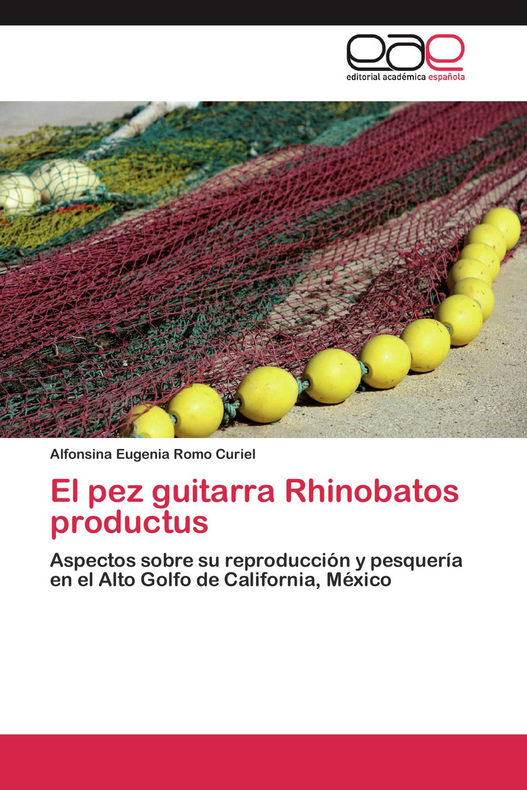 El pez guitarra Rhinobatos productus