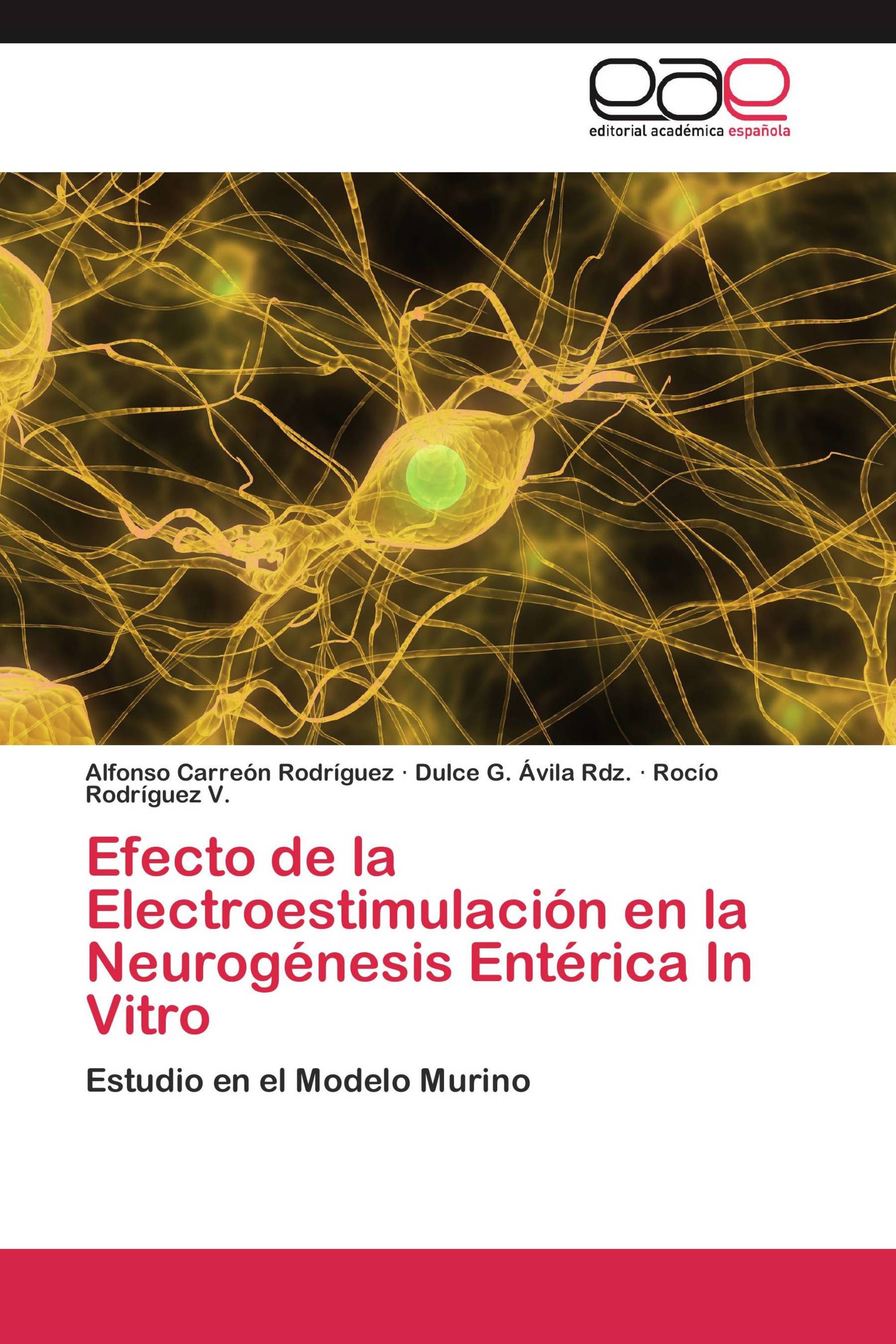 Efecto de la Electroestimulación en la Neurogénesis Entérica In Vitro /  978-3-8465-7855-1 / 9783846578551 / 384657855X