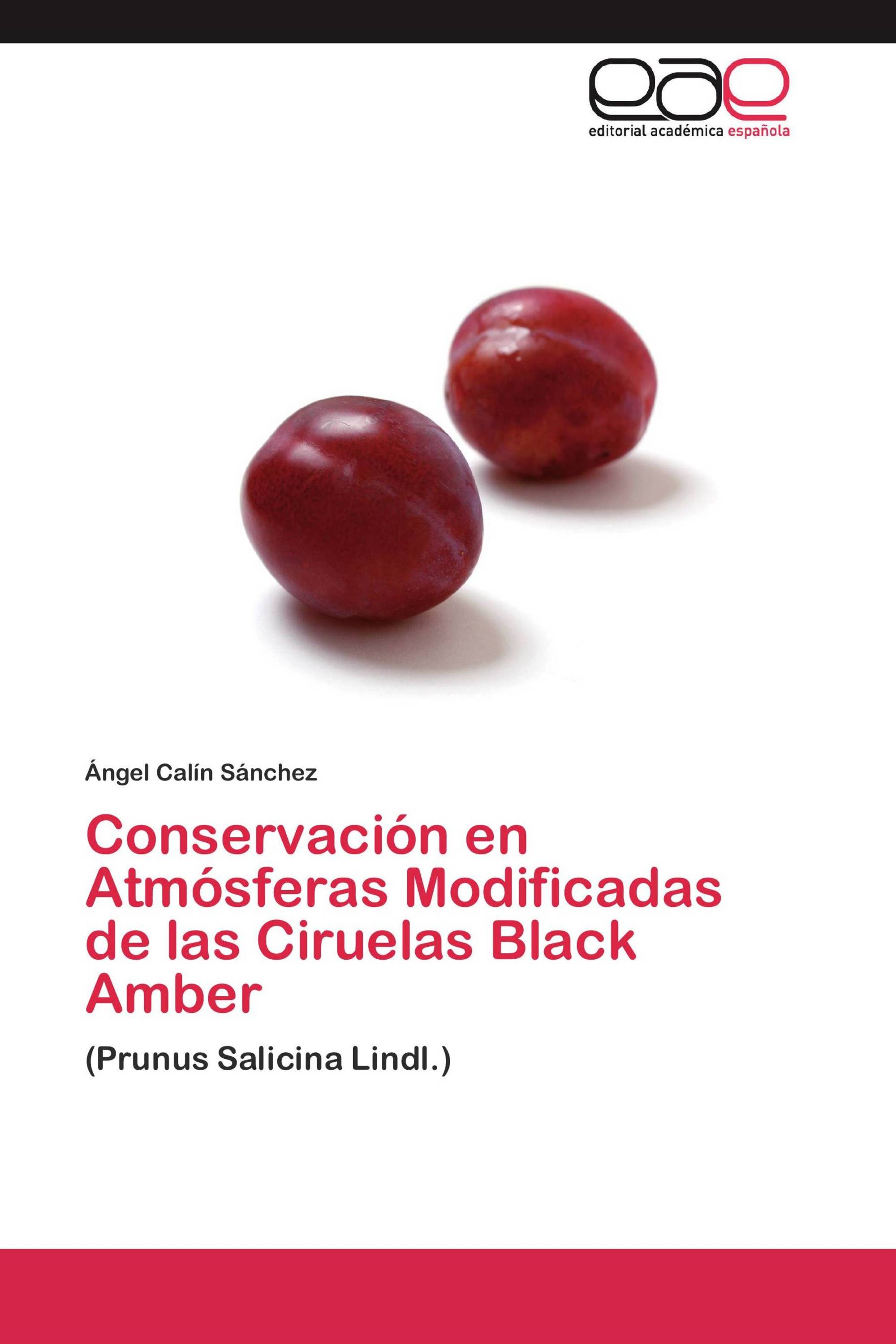 Conservación en Atmósferas Modificadas de las Ciruelas Black Amber