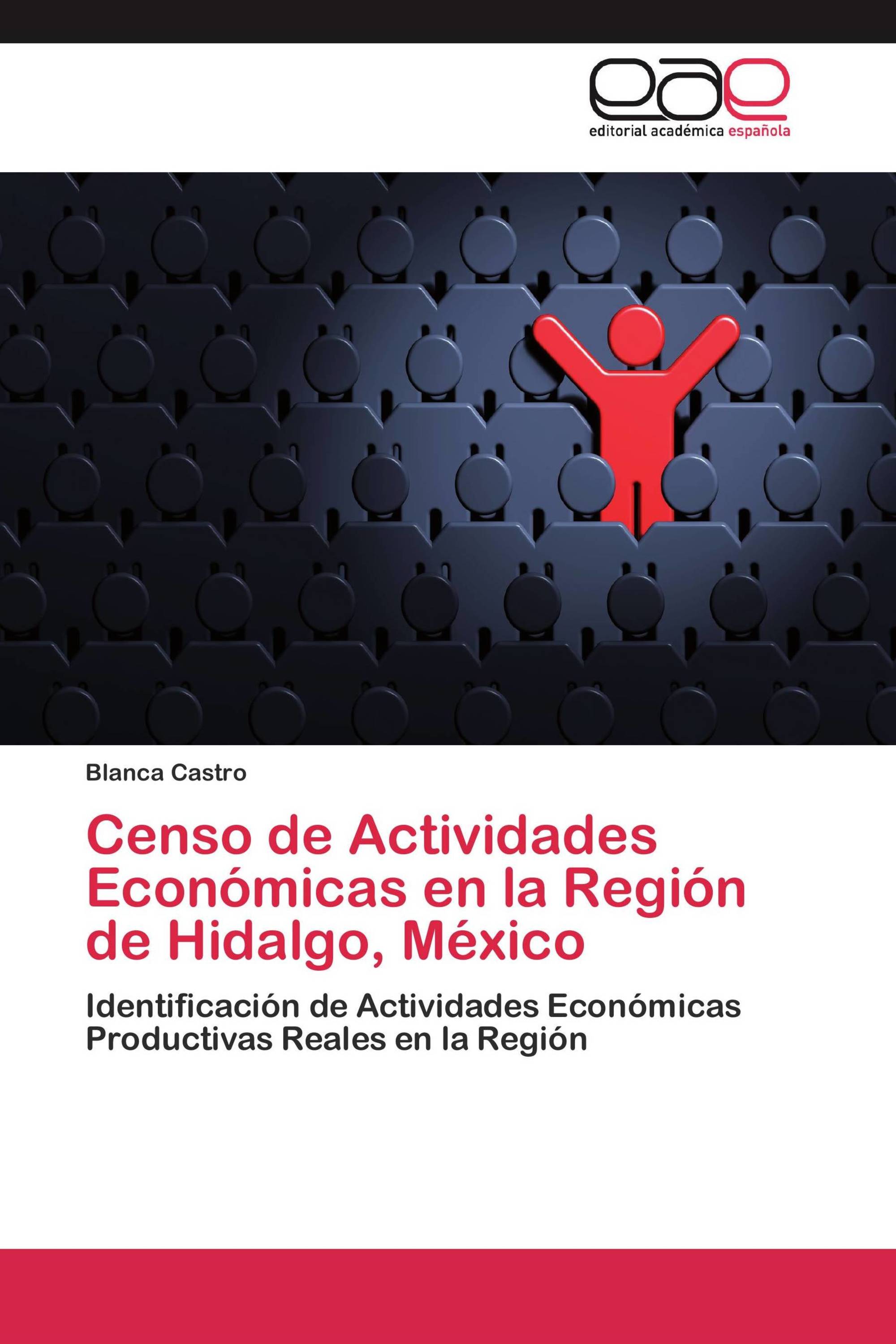 Censo de Actividades Económicas en la Región de Hidalgo, México