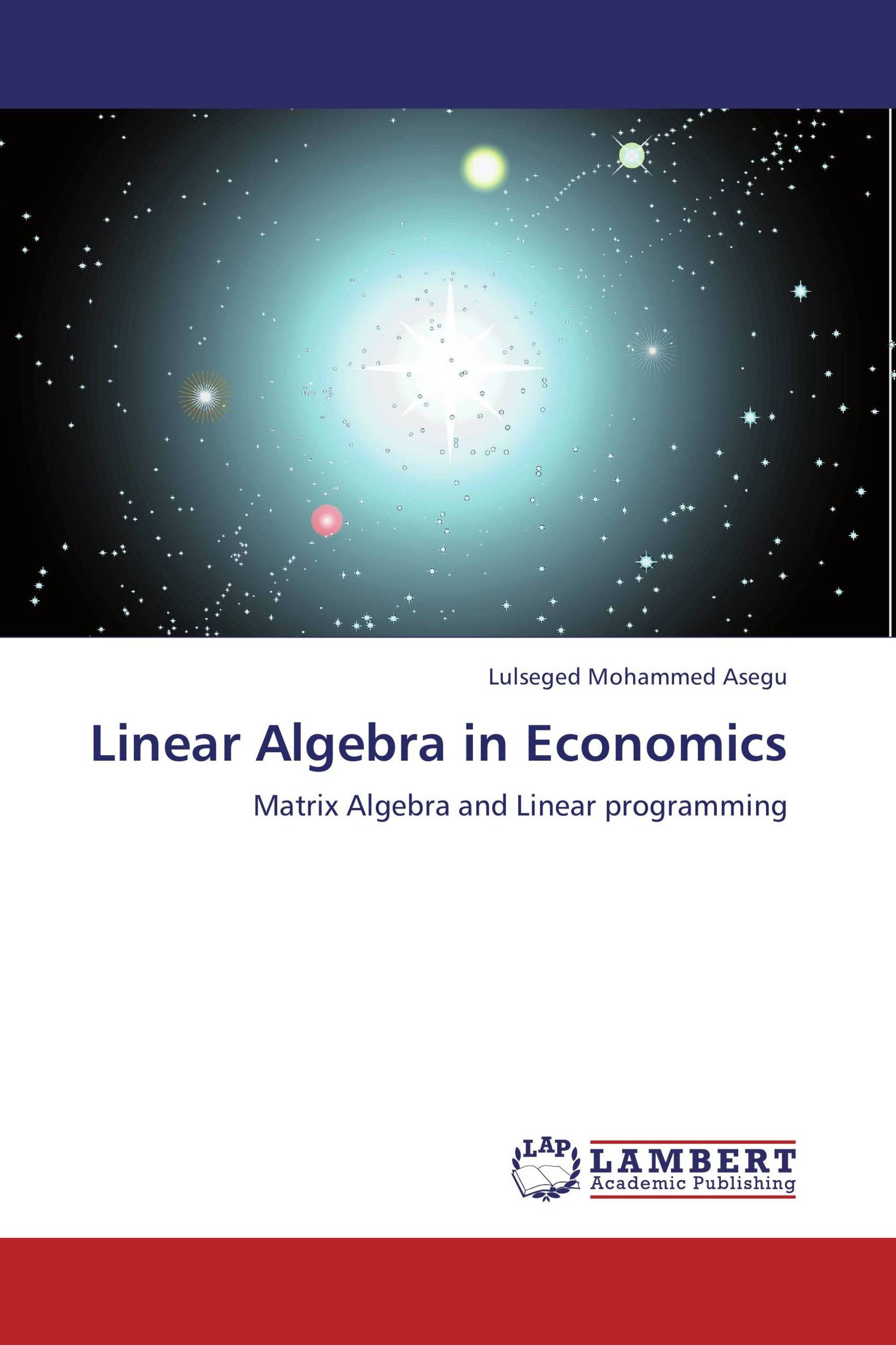 what is linear algebra in economics