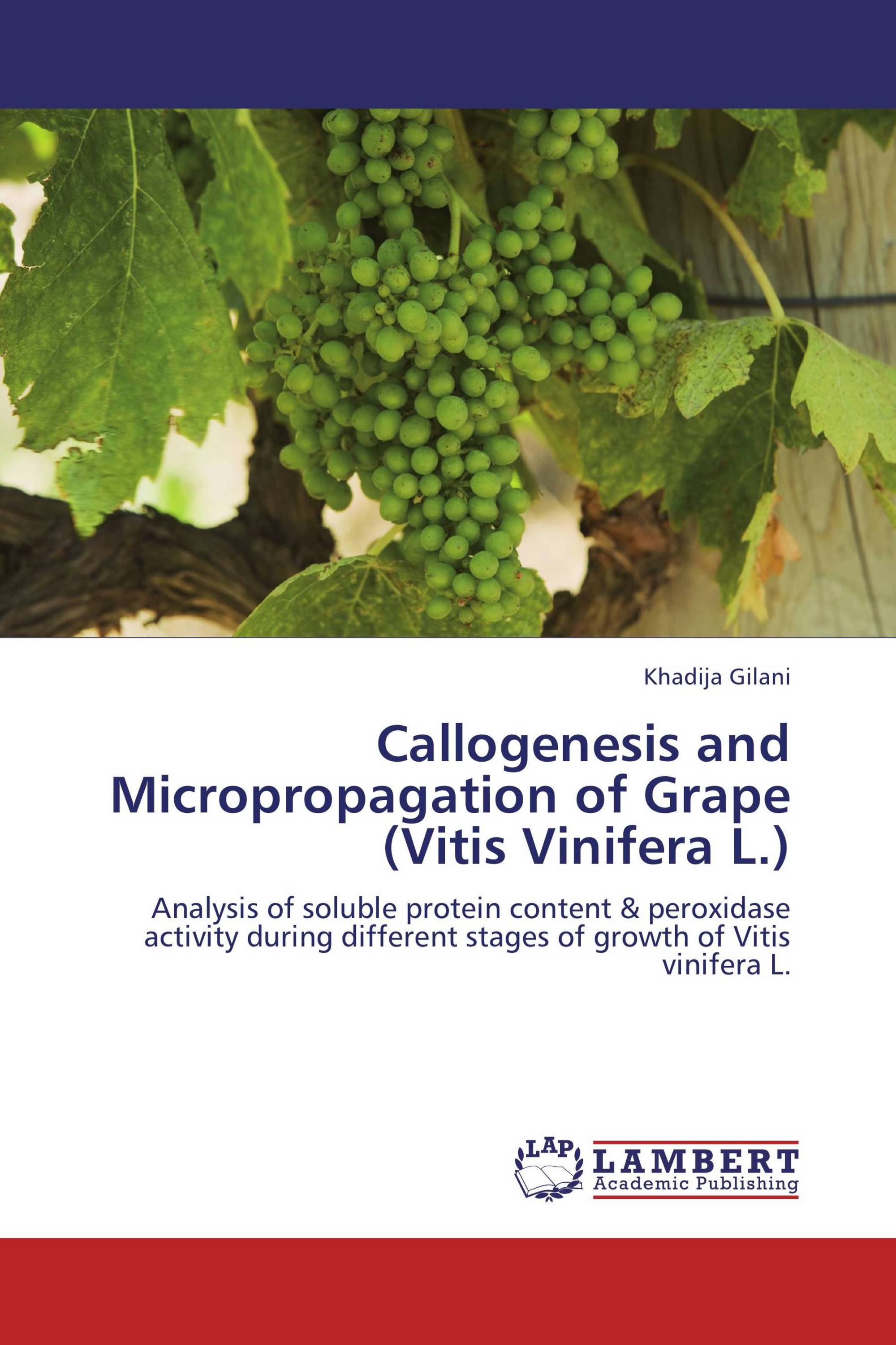 Callogenesis and Micropropagation of Grape (Vitis Vinifera L.)