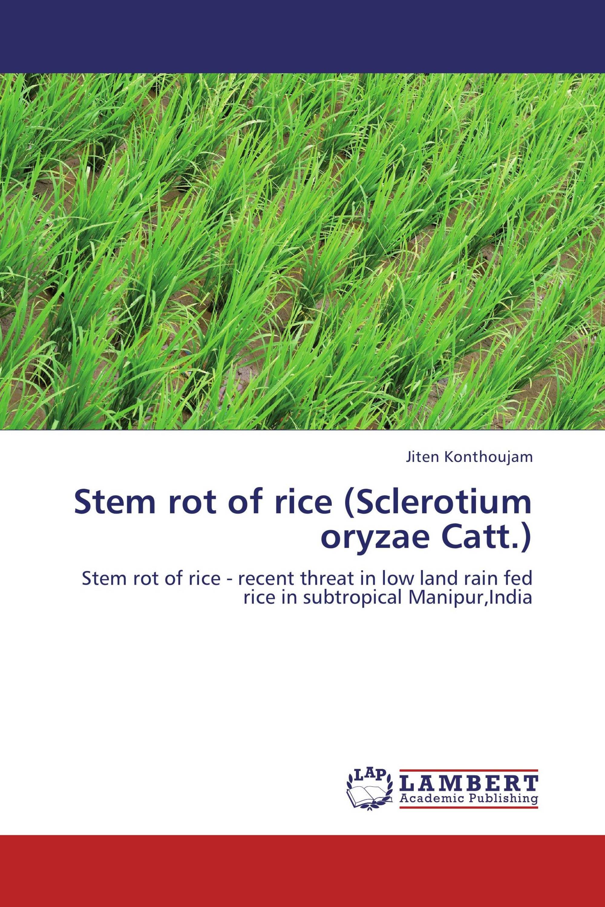 Засуха в поле. World irrigated lands. Food raw materials. Rain fed. Муссонные дожди в индии 2021.