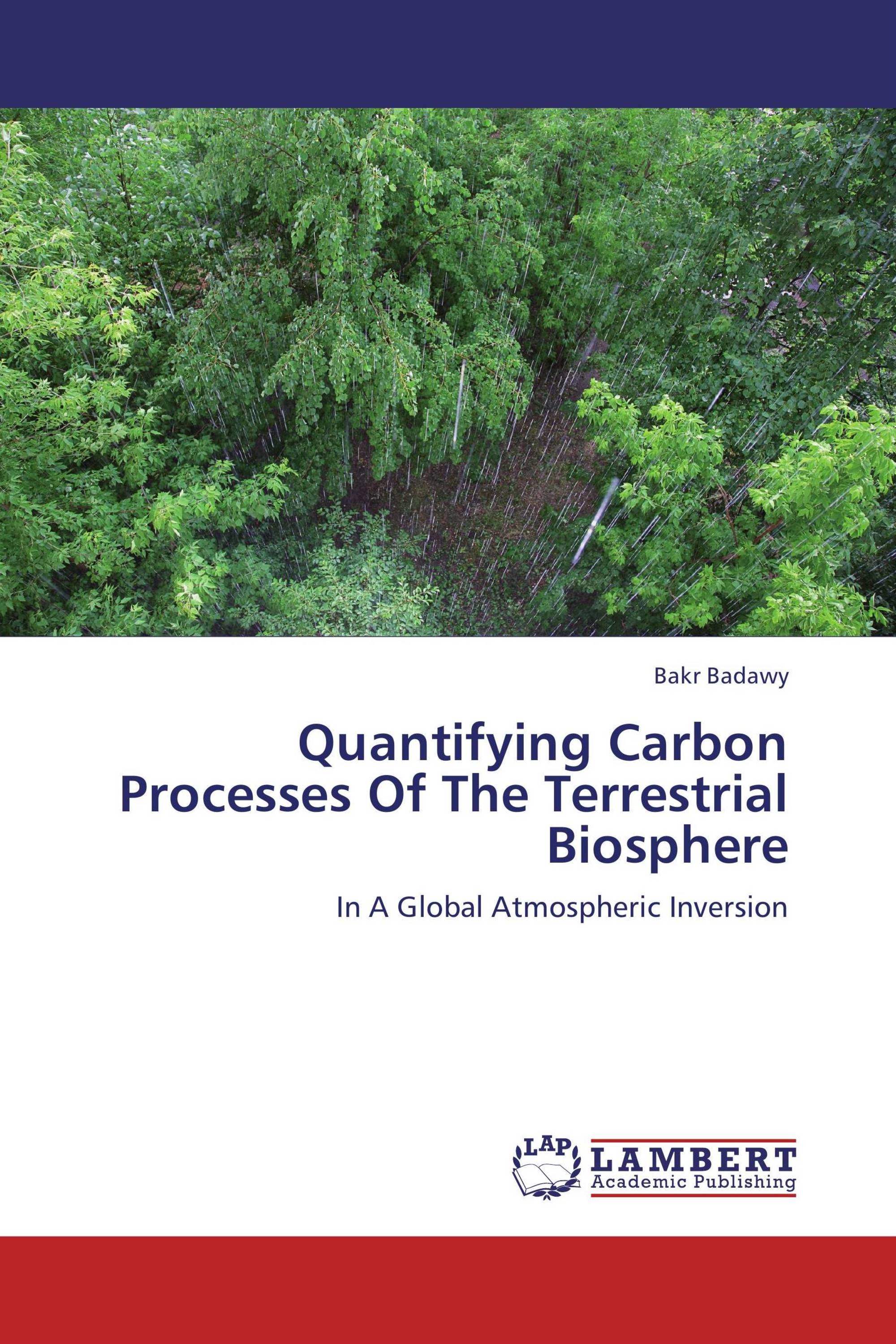 Quantifying Carbon Processes Of The Terrestrial Biosphere