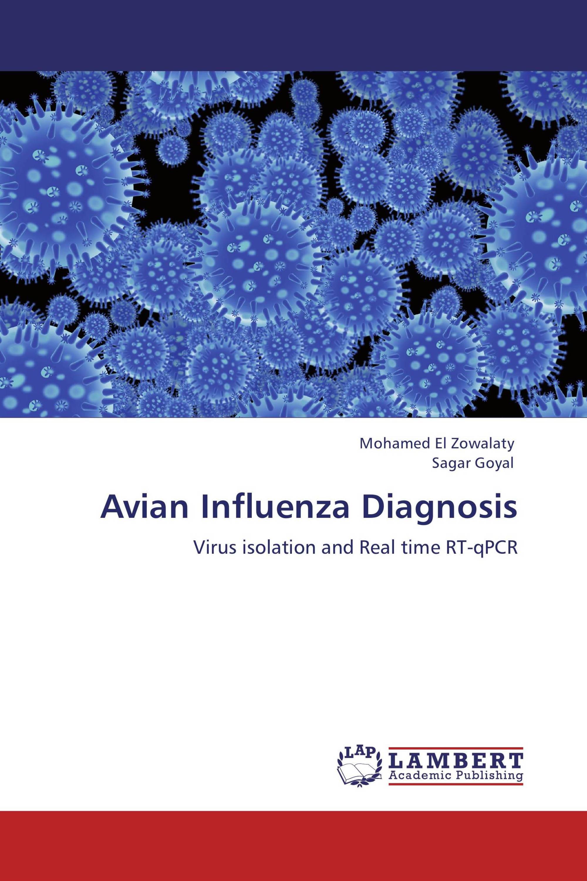 H1n1 dissertation picture