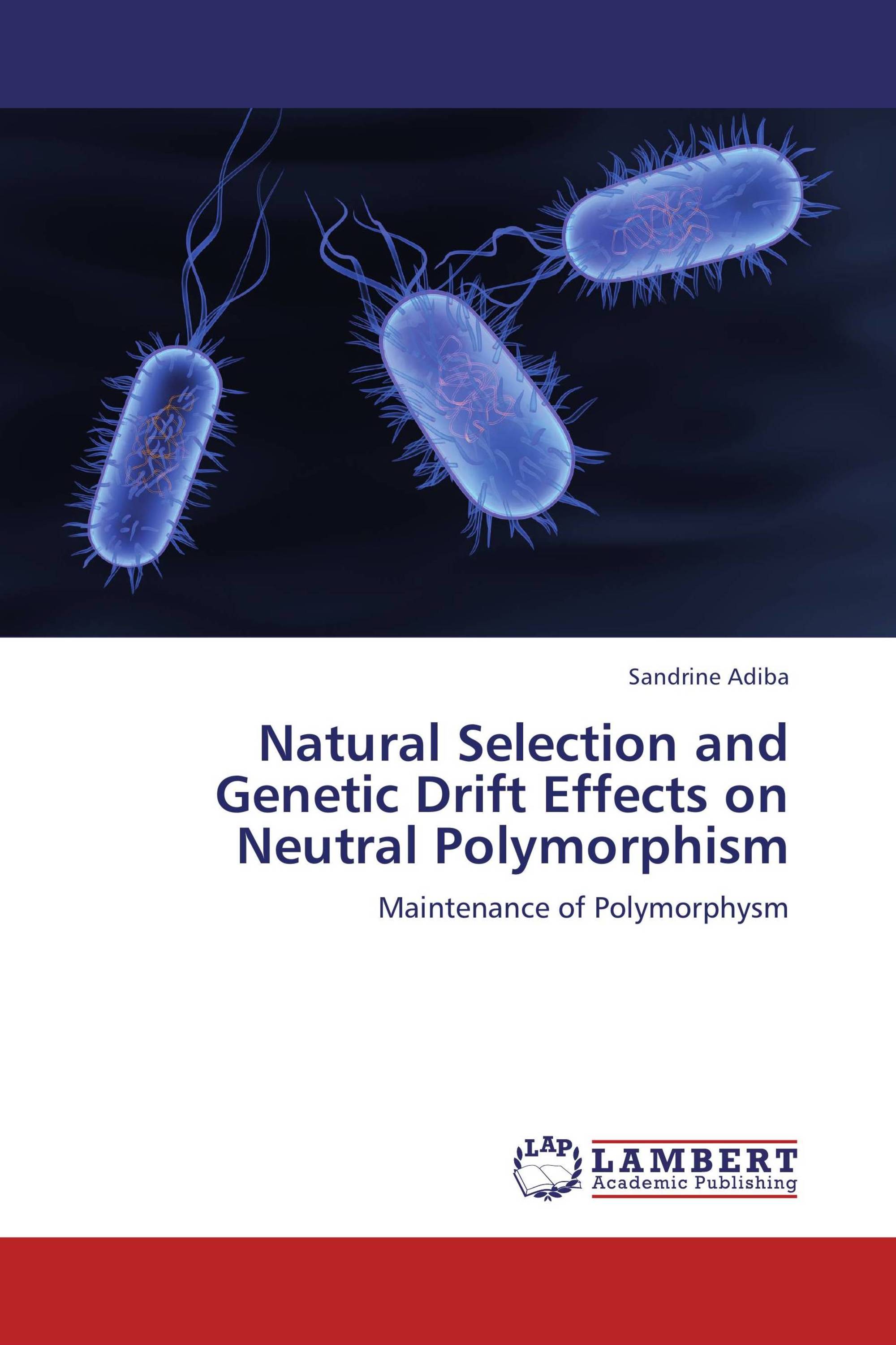 Natural Selection and Genetic Drift Effects on Neutral Polymorphism