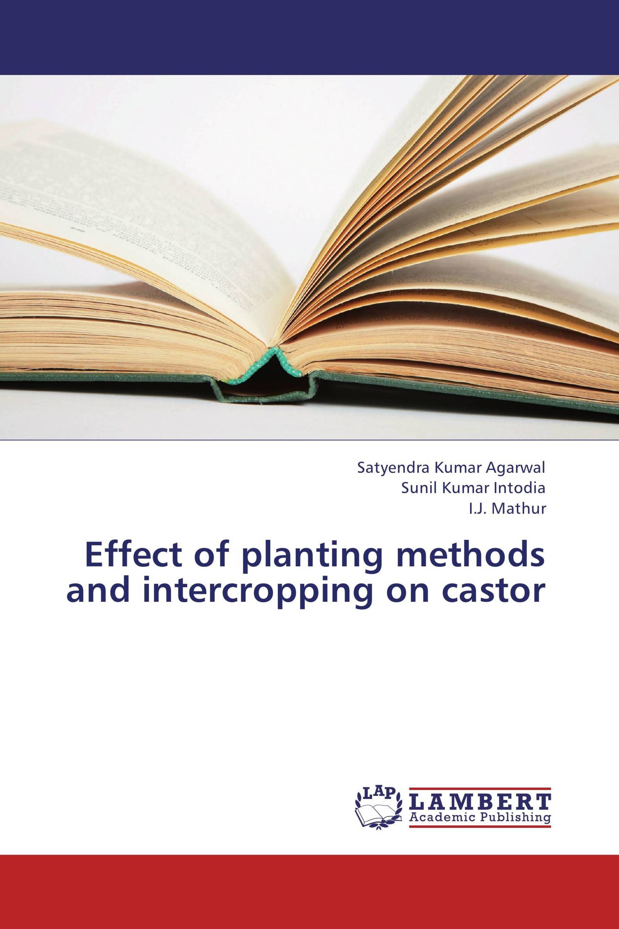 Effect of planting methods and intercropping on castor