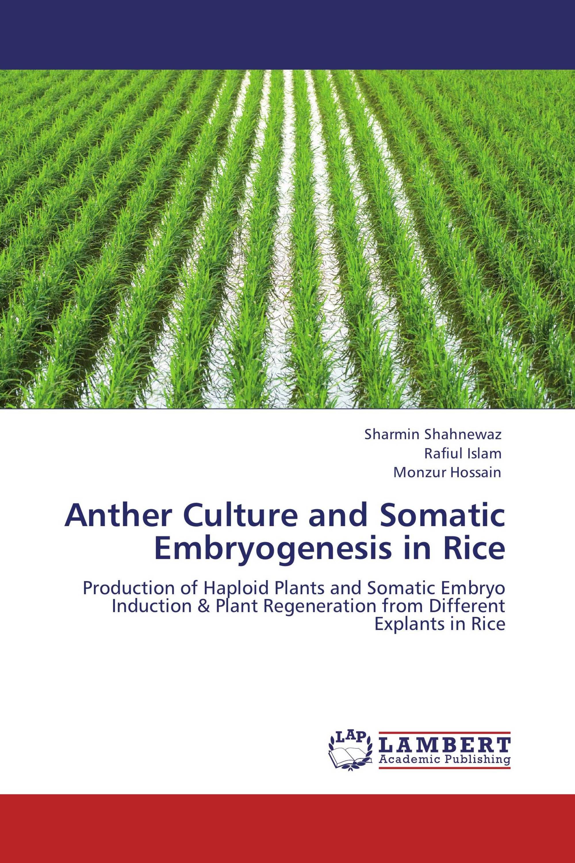 Anther Culture and Somatic Embryogenesis in Rice