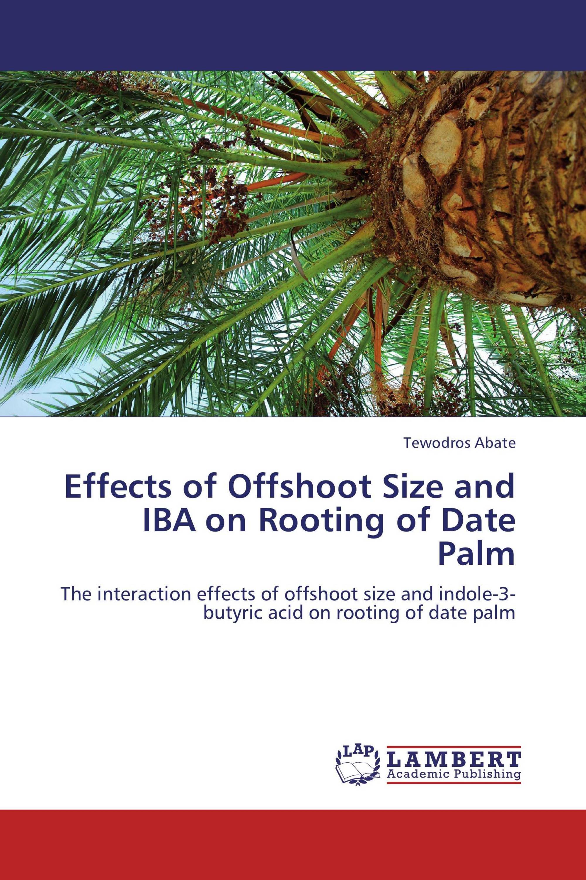 Effects of Offshoot Size and IBA on Rooting of Date Palm