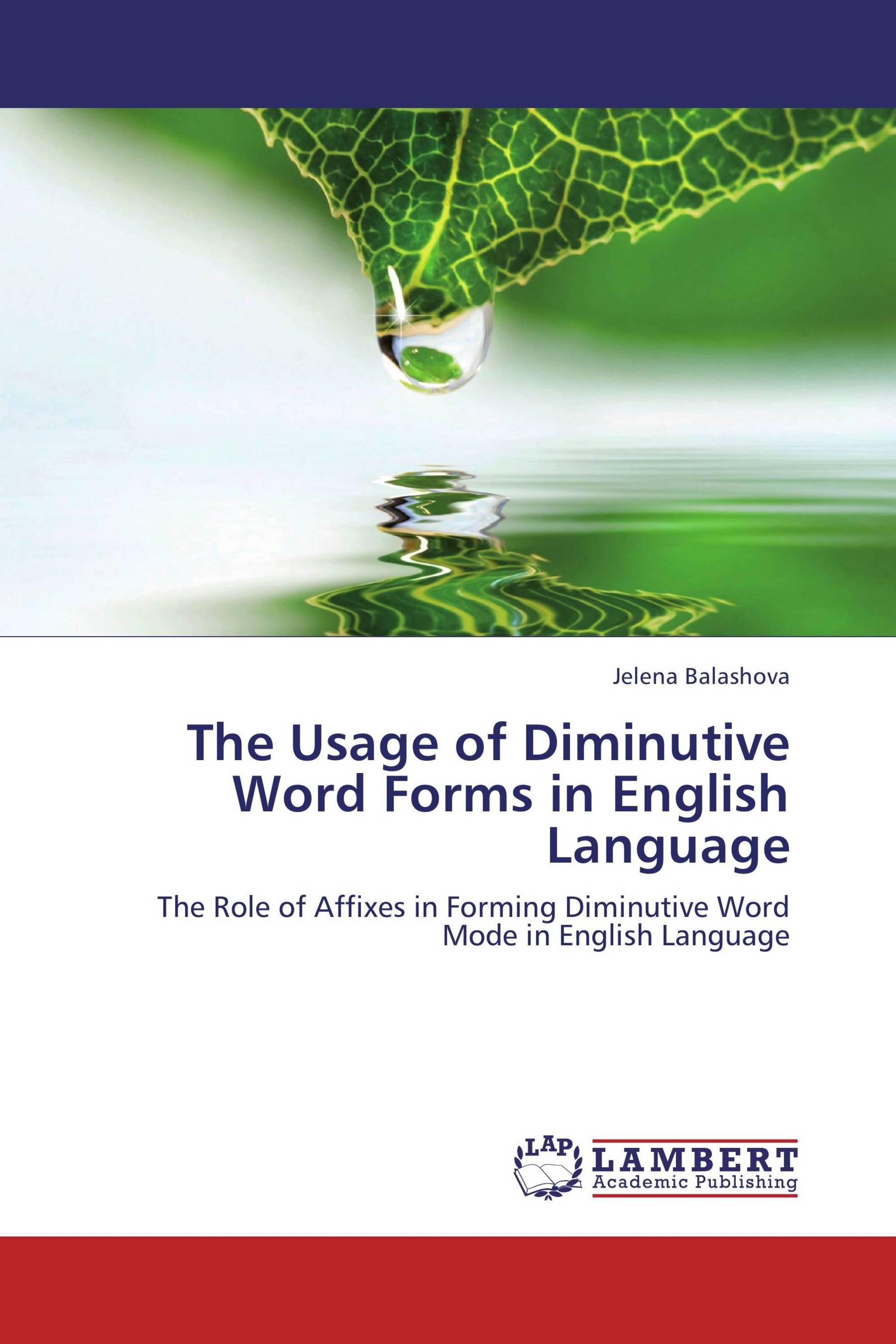the-usage-of-diminutive-word-forms-in-english-language-978-3-8473