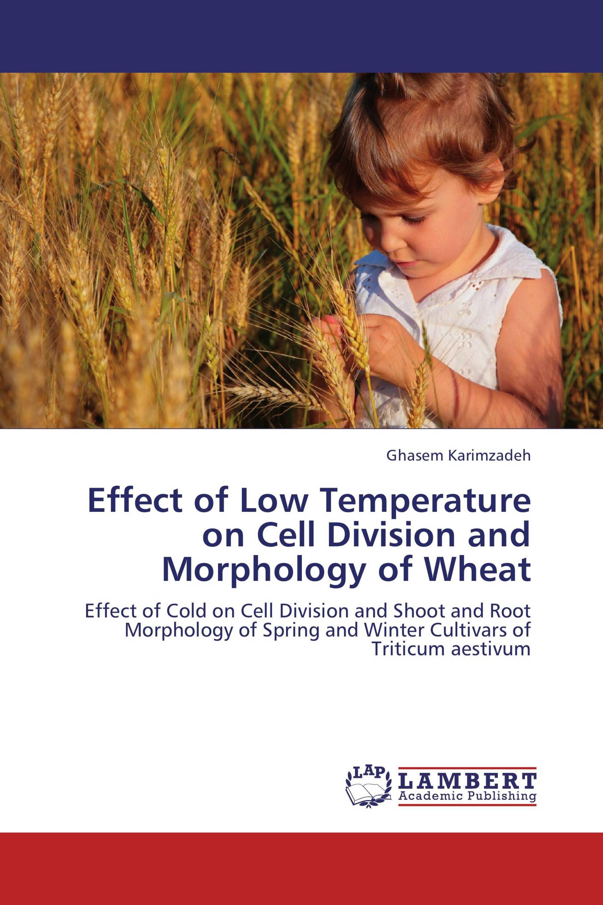 Effect of Low Temperature on Cell Division and Morphology of Wheat