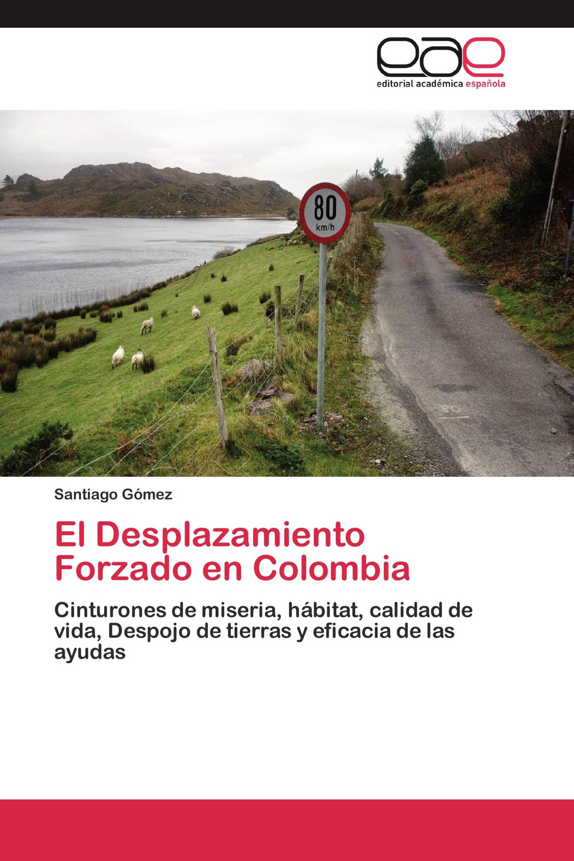 El Desplazamiento Forzado en Colombia