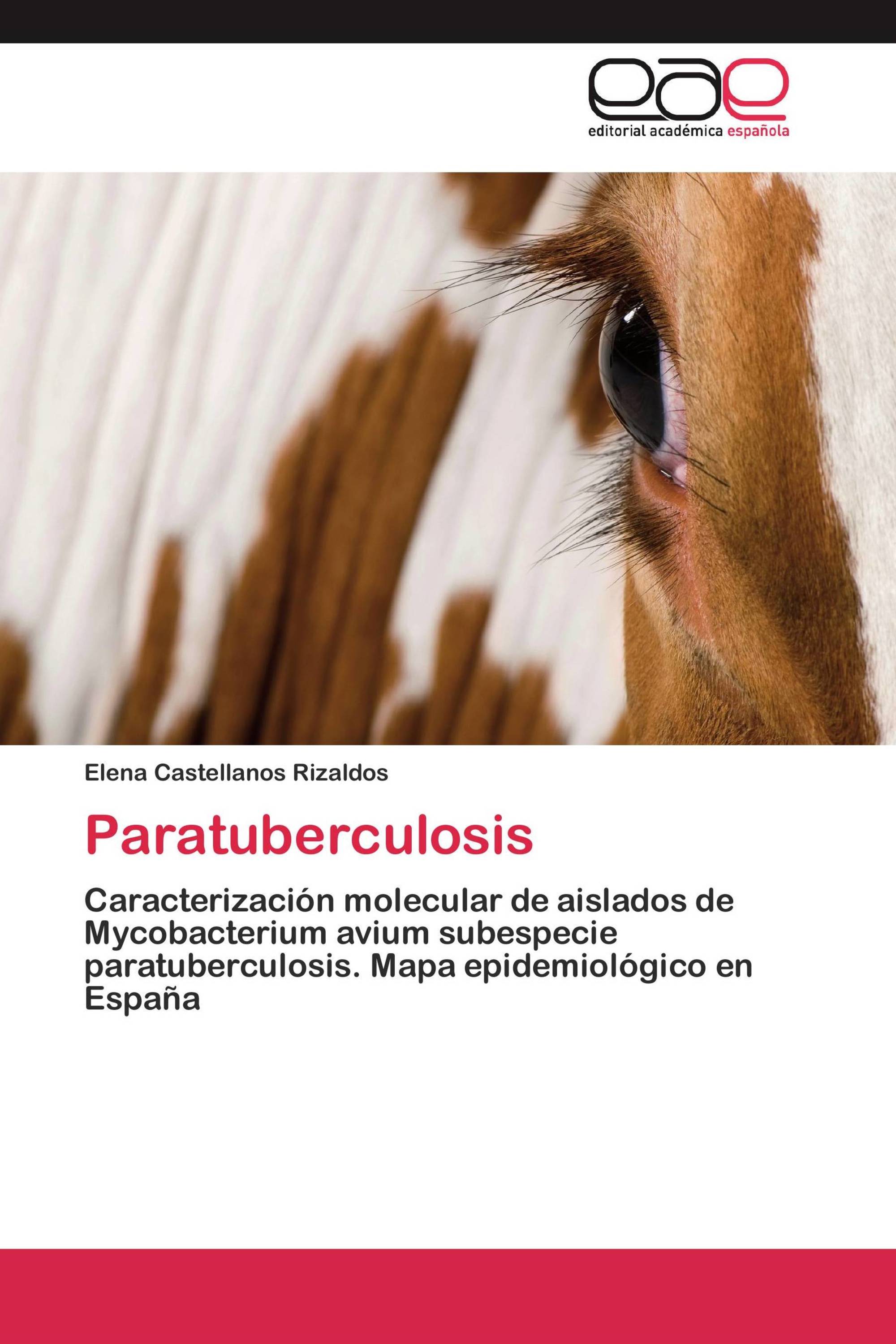 Paratuberculosis