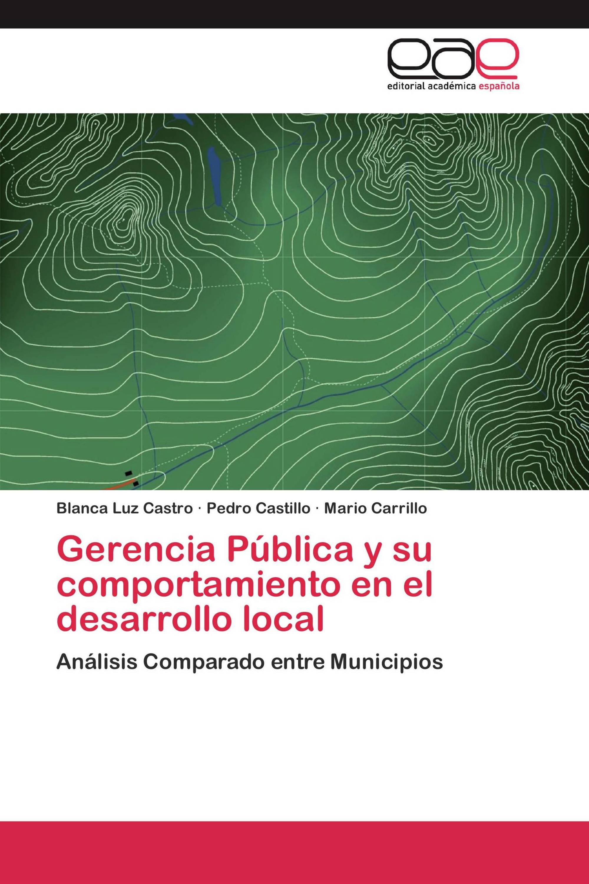 Gerencia Pública y su comportamiento en el desarrollo local