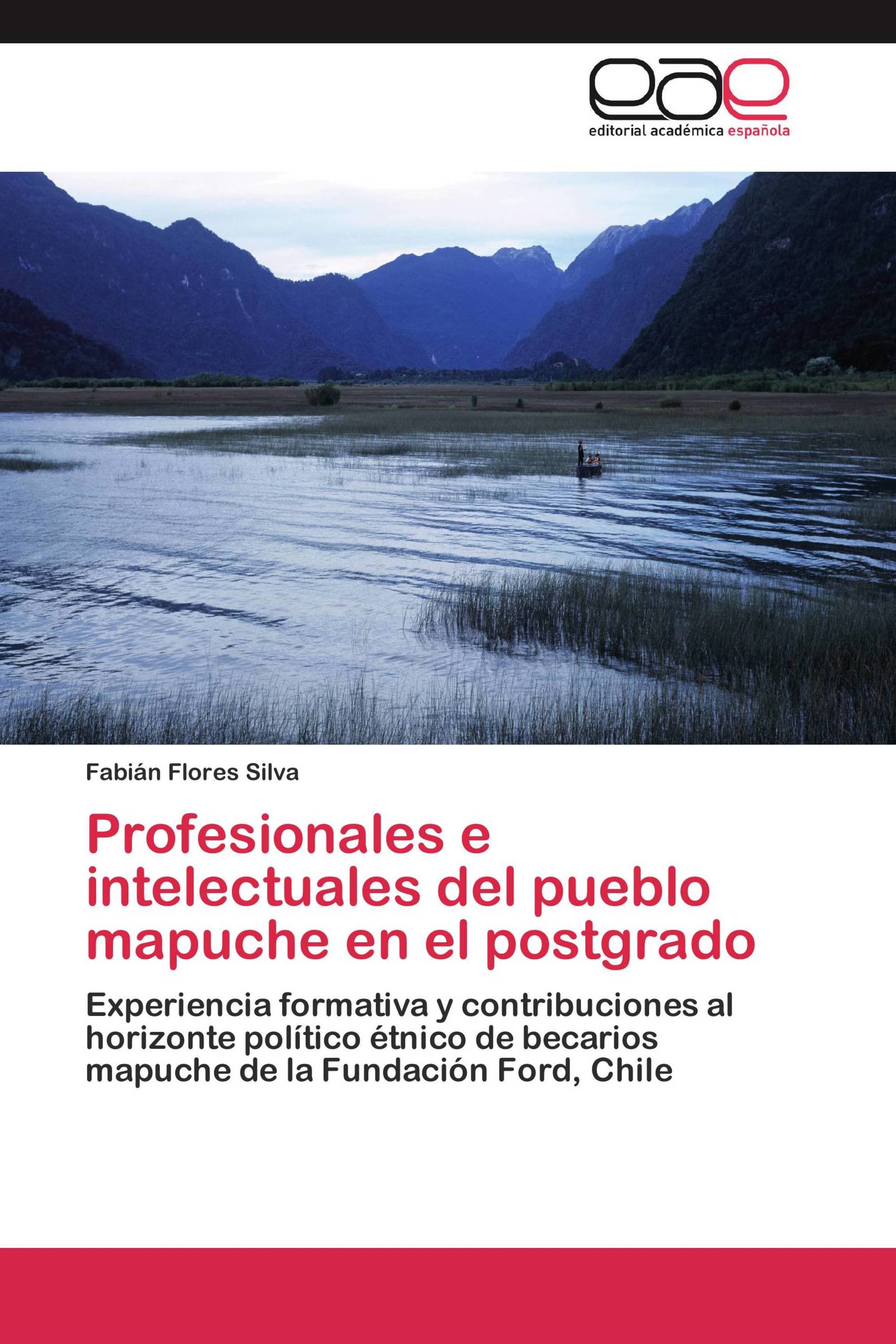 Profesionales e intelectuales del pueblo mapuche en el postgrado