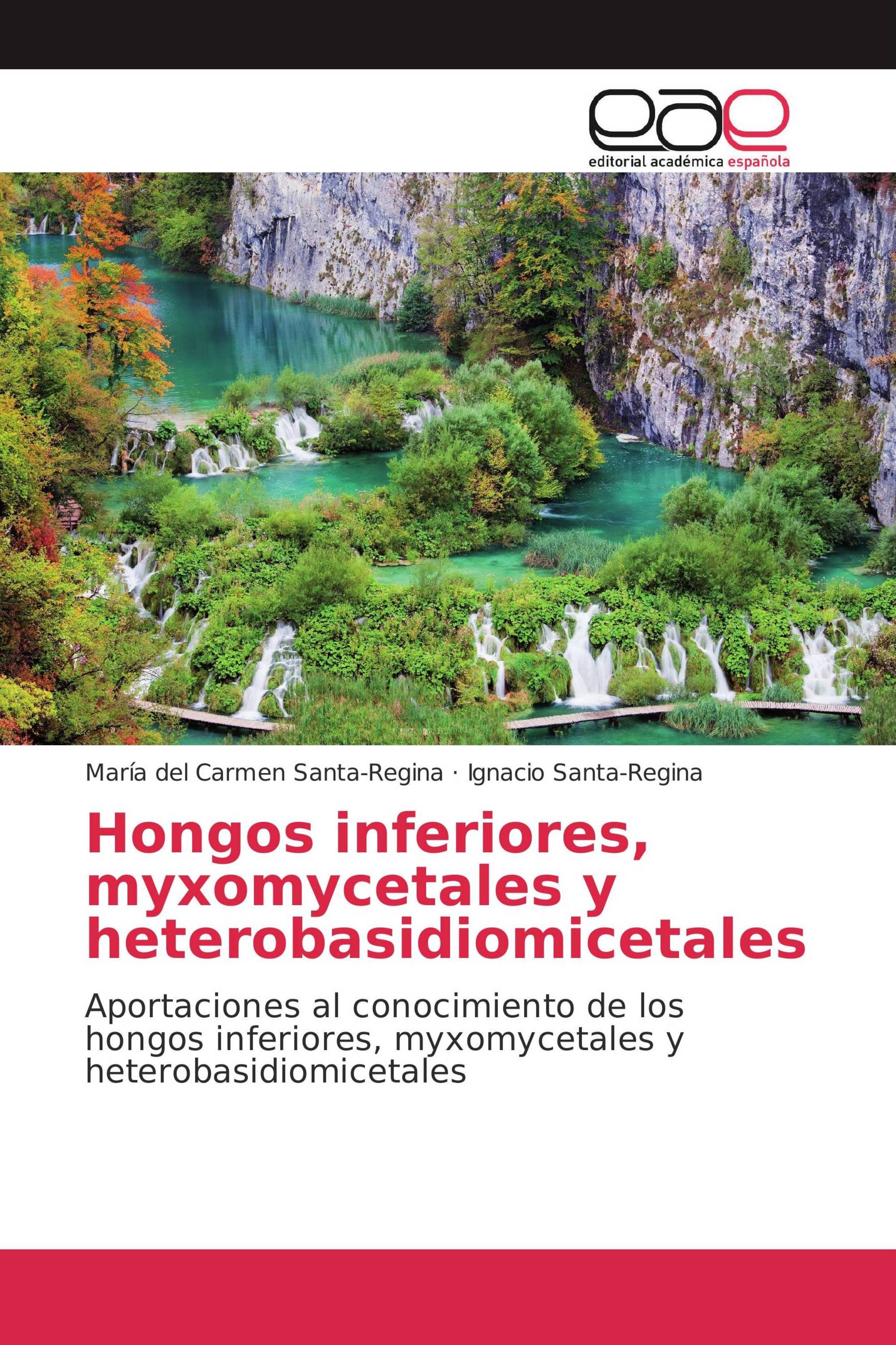 Hongos inferiores, myxomycetales y heterobasidiomicetales