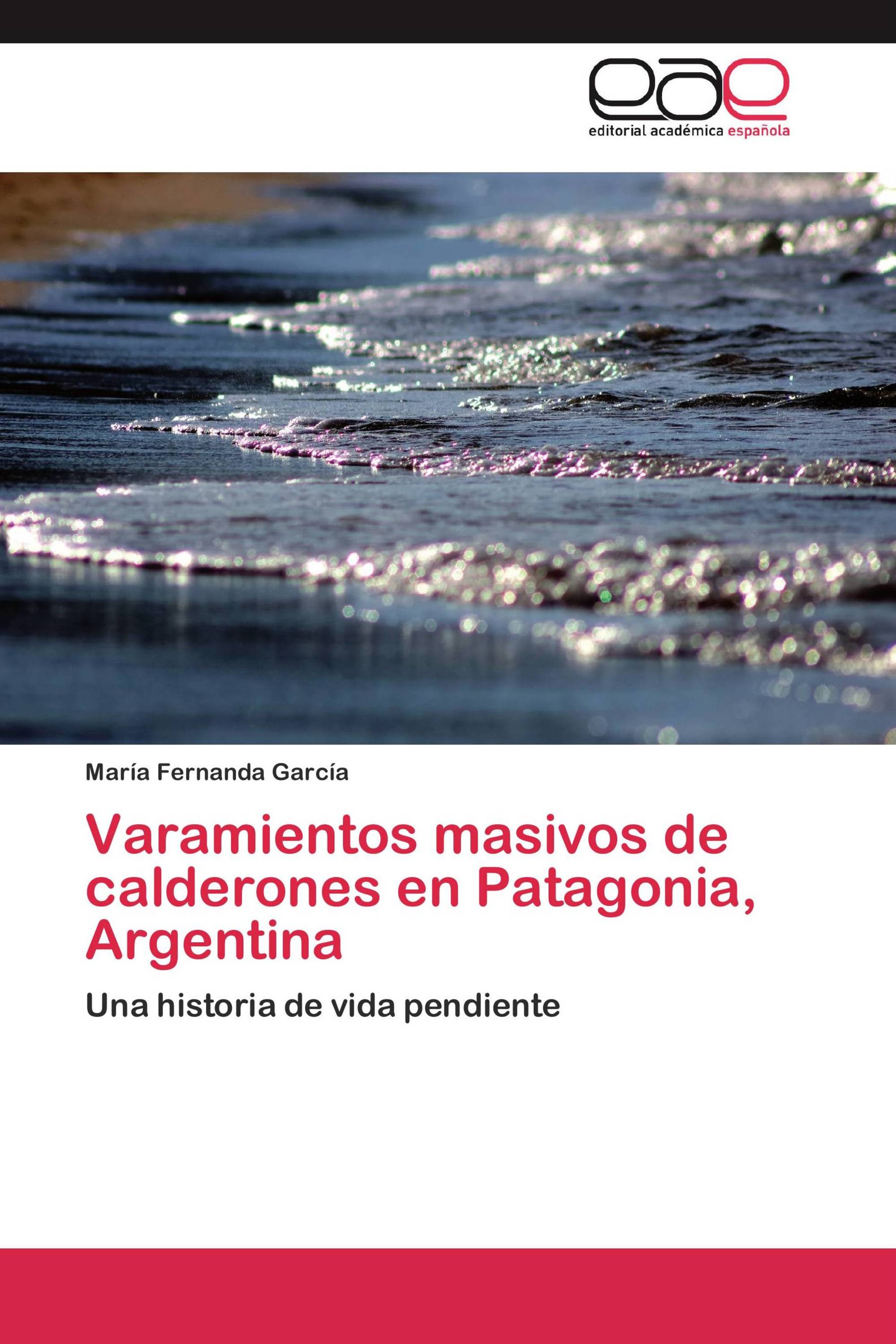 Varamientos masivos de calderones en Patagonia, Argentina