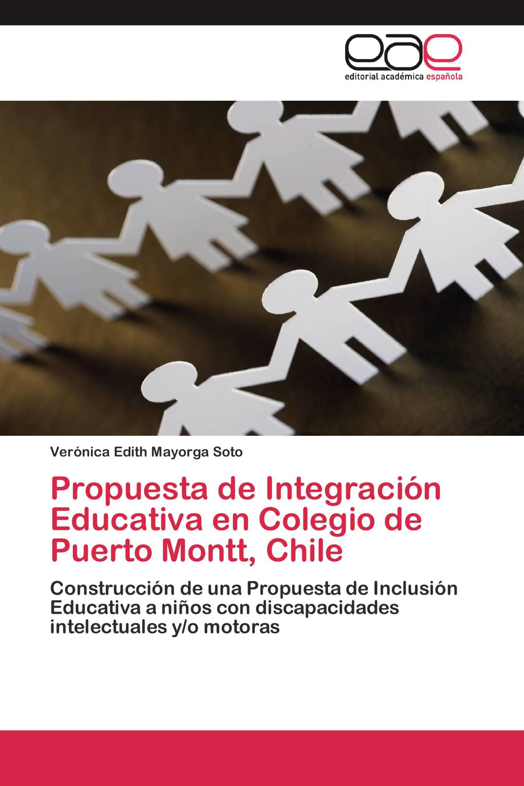 Propuesta de Integración Educativa en Colegio de Puerto Montt, Chile