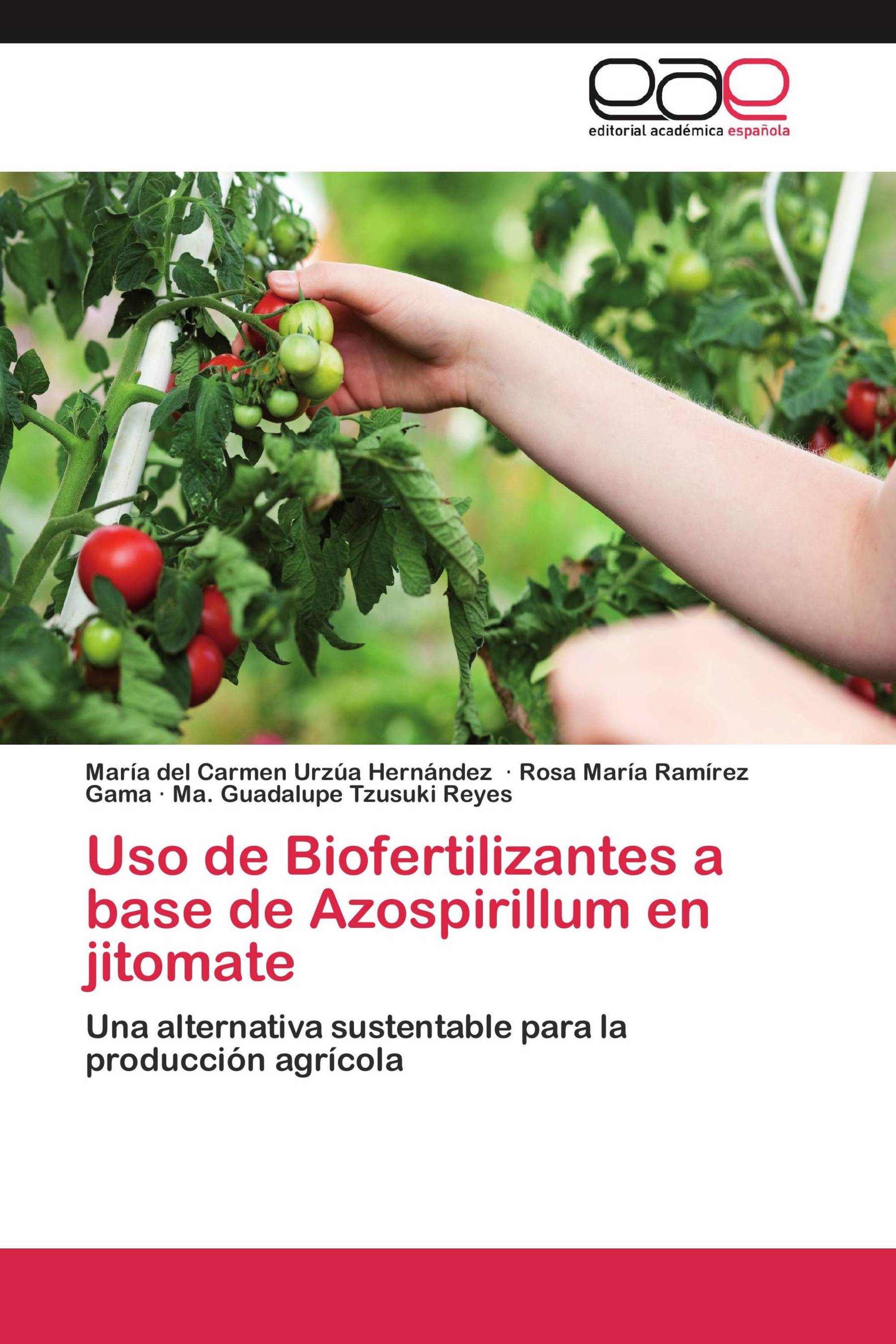 Uso de Biofertilizantes a base de Azospirillum en jitomate